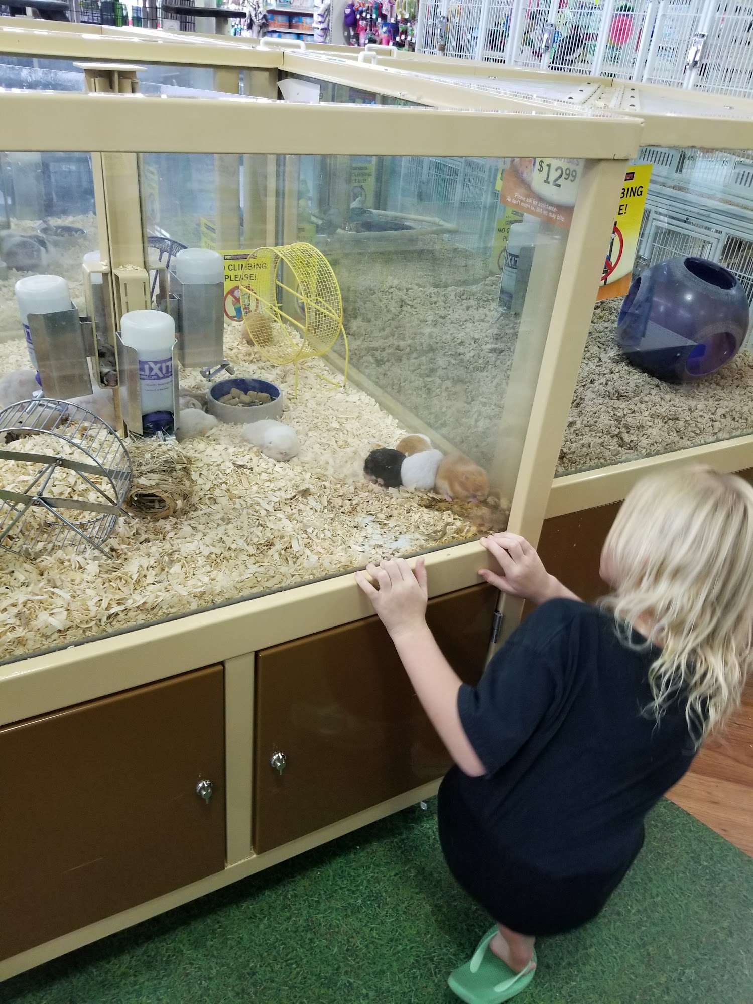 Pet Supermarket Cape Coral