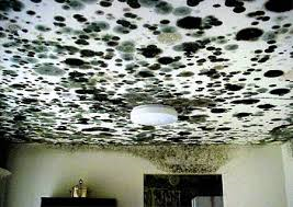 Lovell Indoor Environmental Consultants
