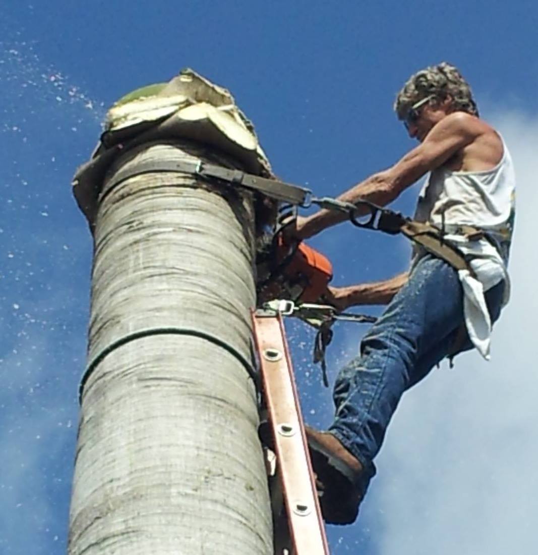 Fischers Lawn & Landscape 123 SE 12th Ct, Cape Coral Florida 33990