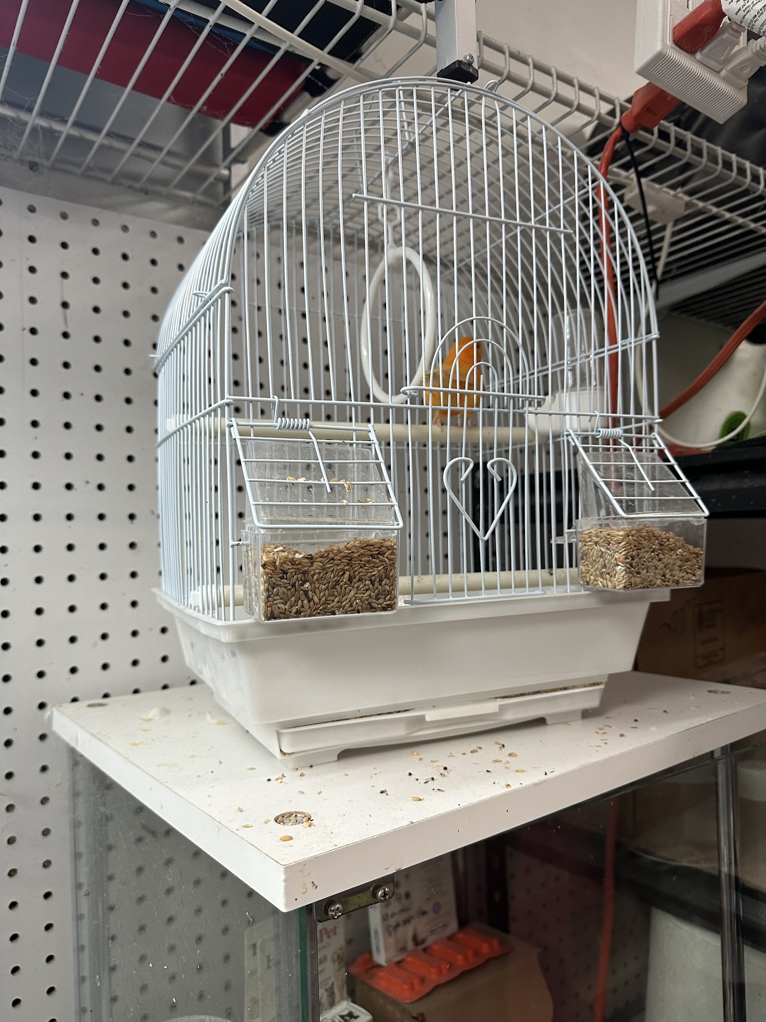 CAPE CORAL PETSHOP Cape Coral