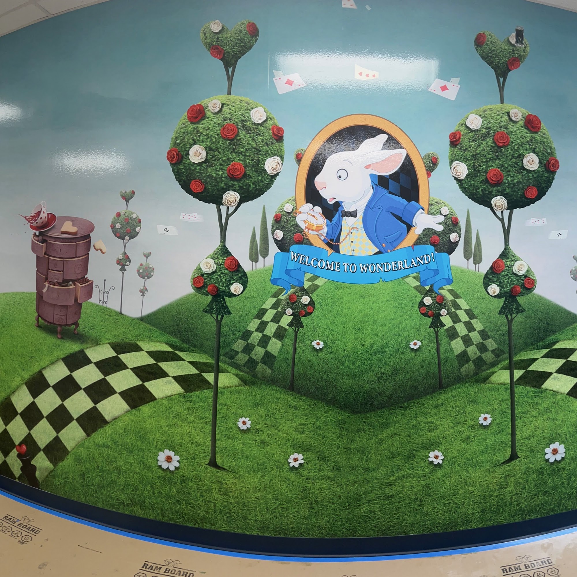 High Impact Designz Cape Coral