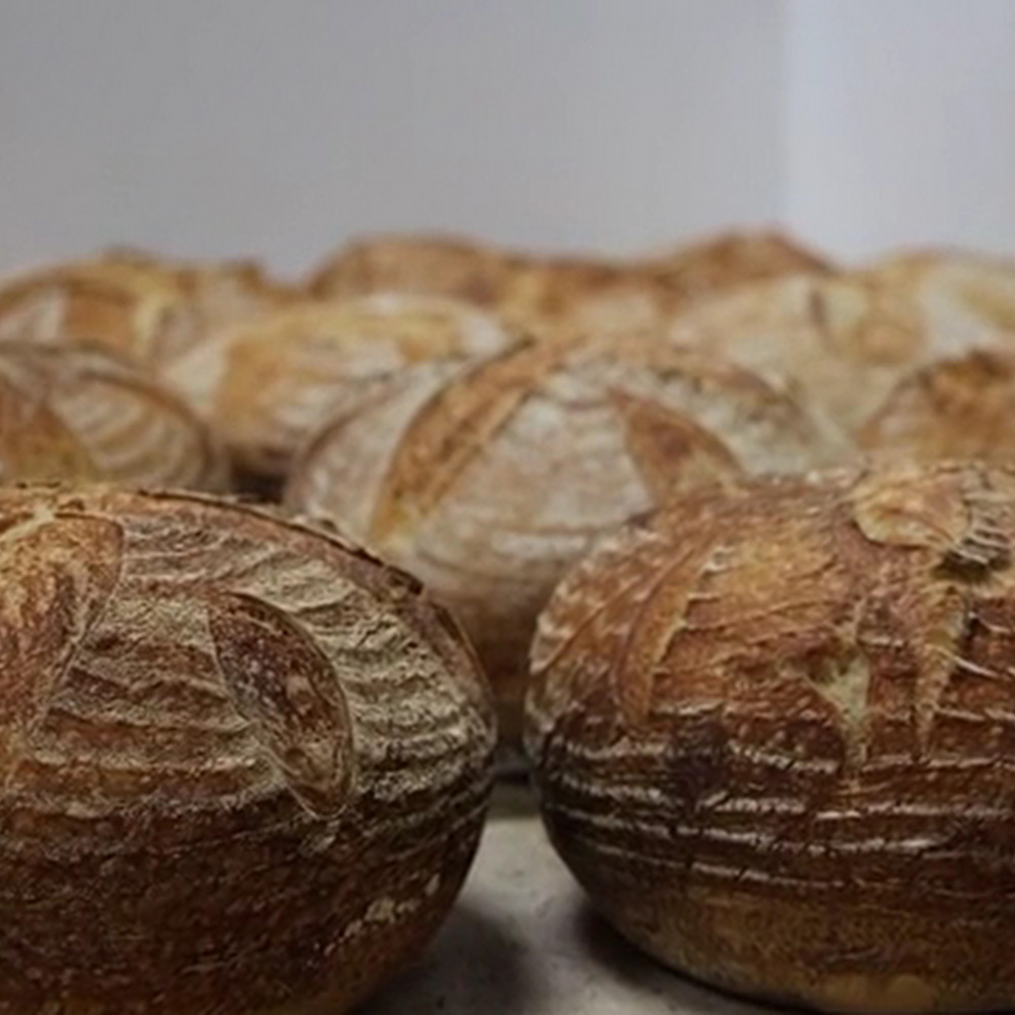 Sourdough Bread House Casselberry