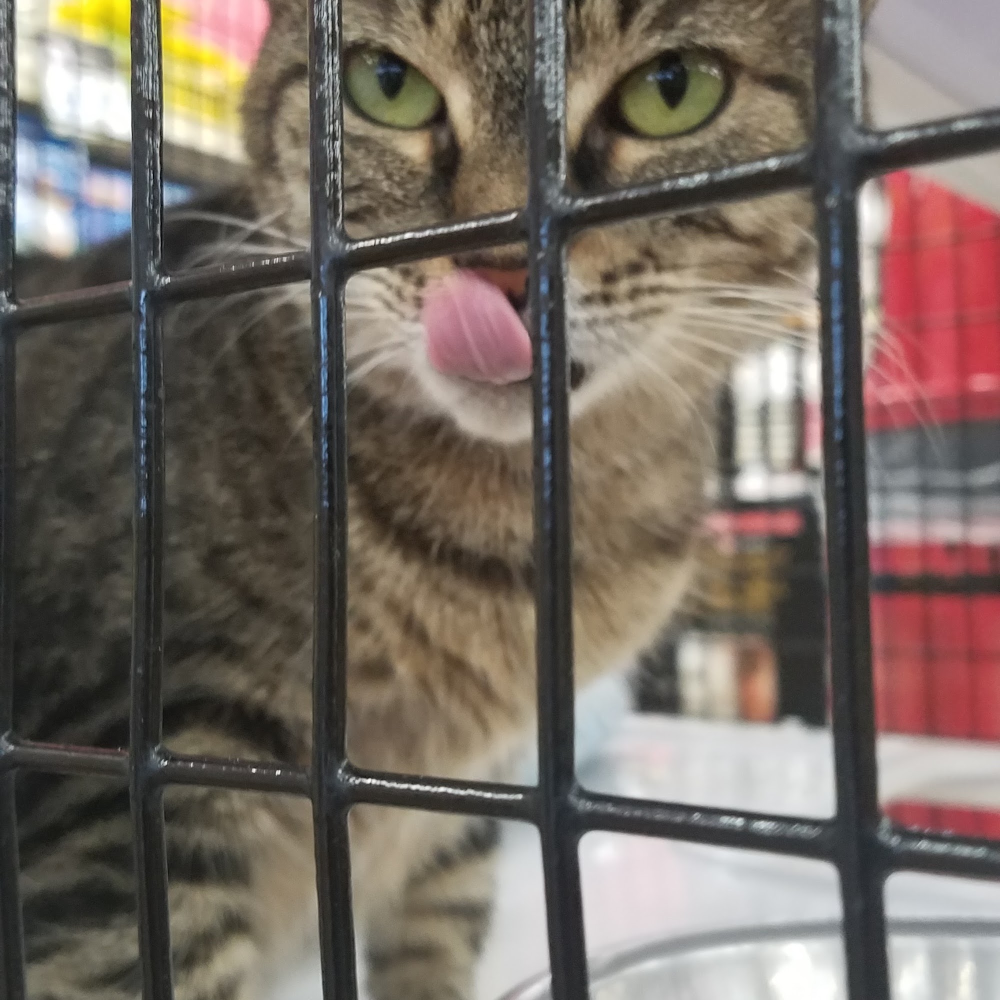 Pet Supermarket Casselberry
