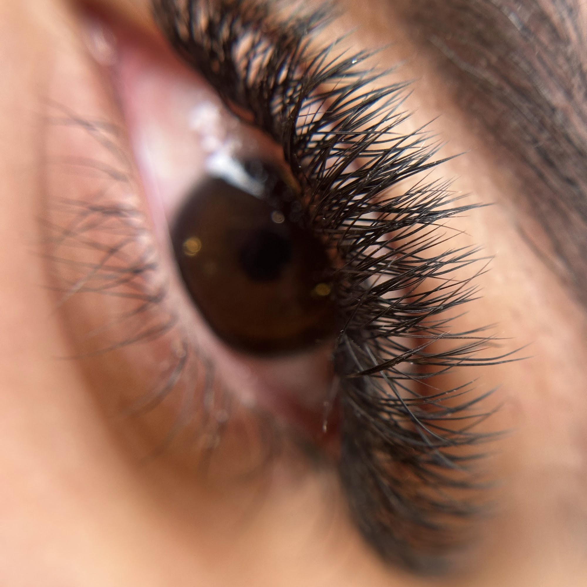 JLynnLashes & More 3262 S US Hwy 17 92, Casselberry Florida 32707