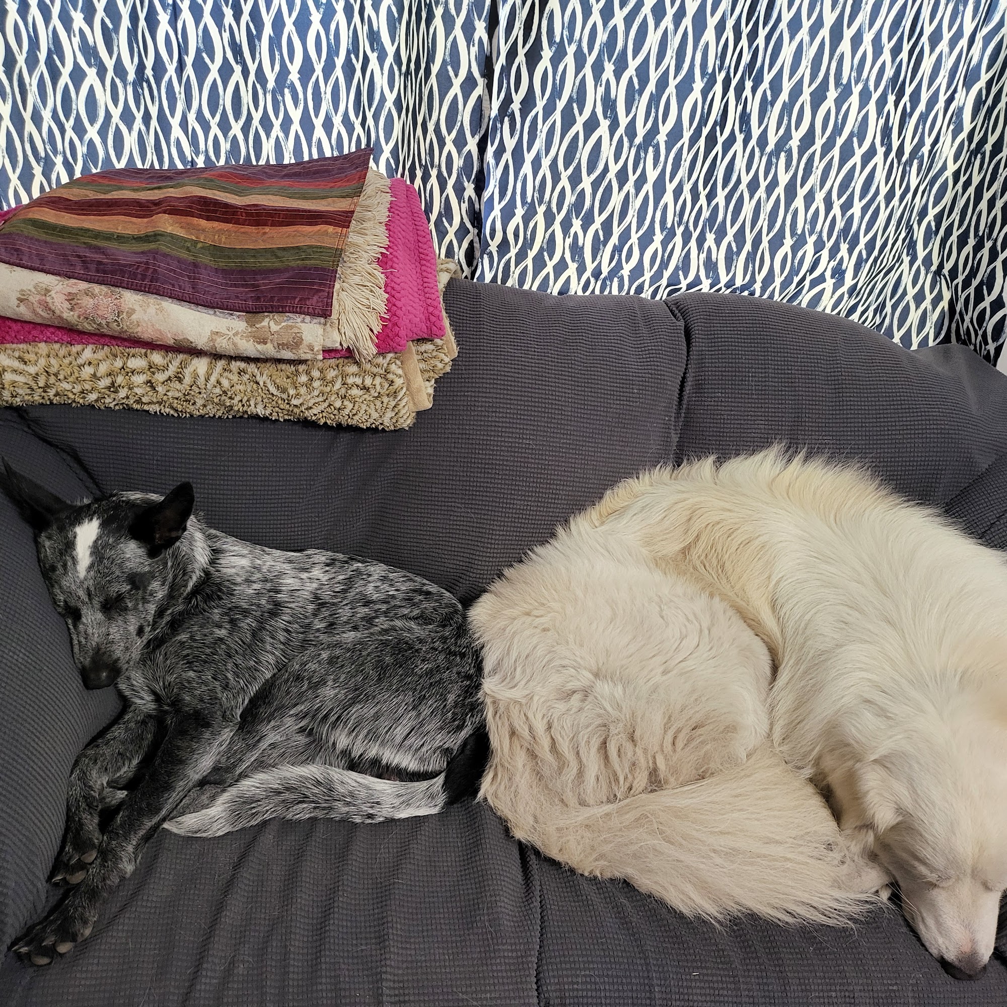 Suwannee Valley Veterinary Clinic Chiefland