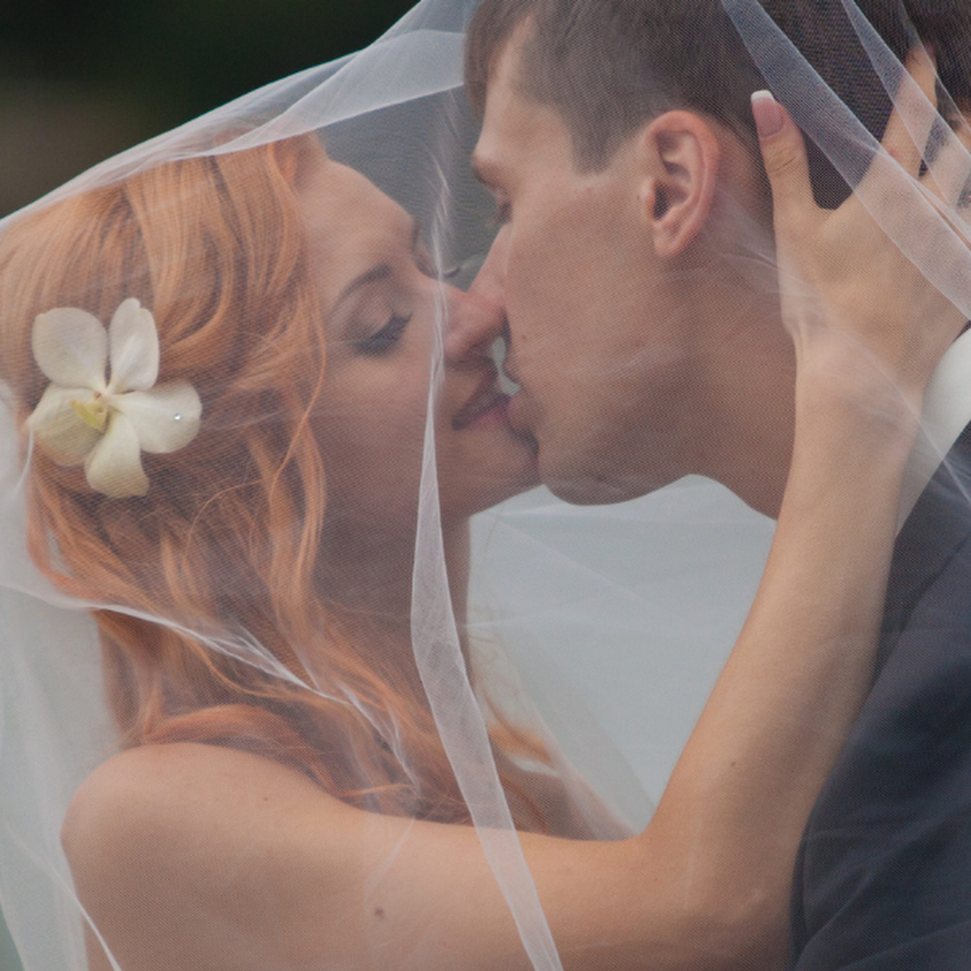 The Berry Hill Gardens Chipley