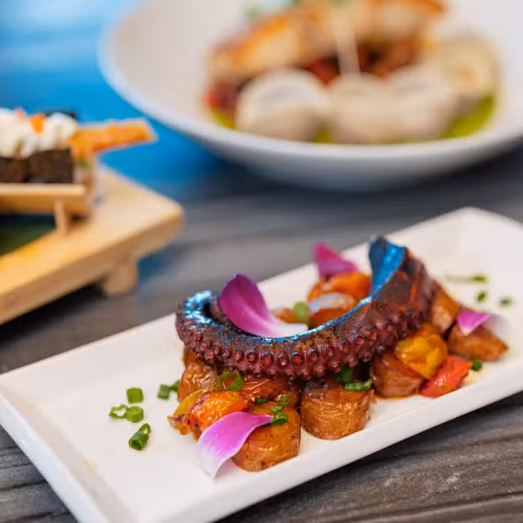 Photo credit: opentable