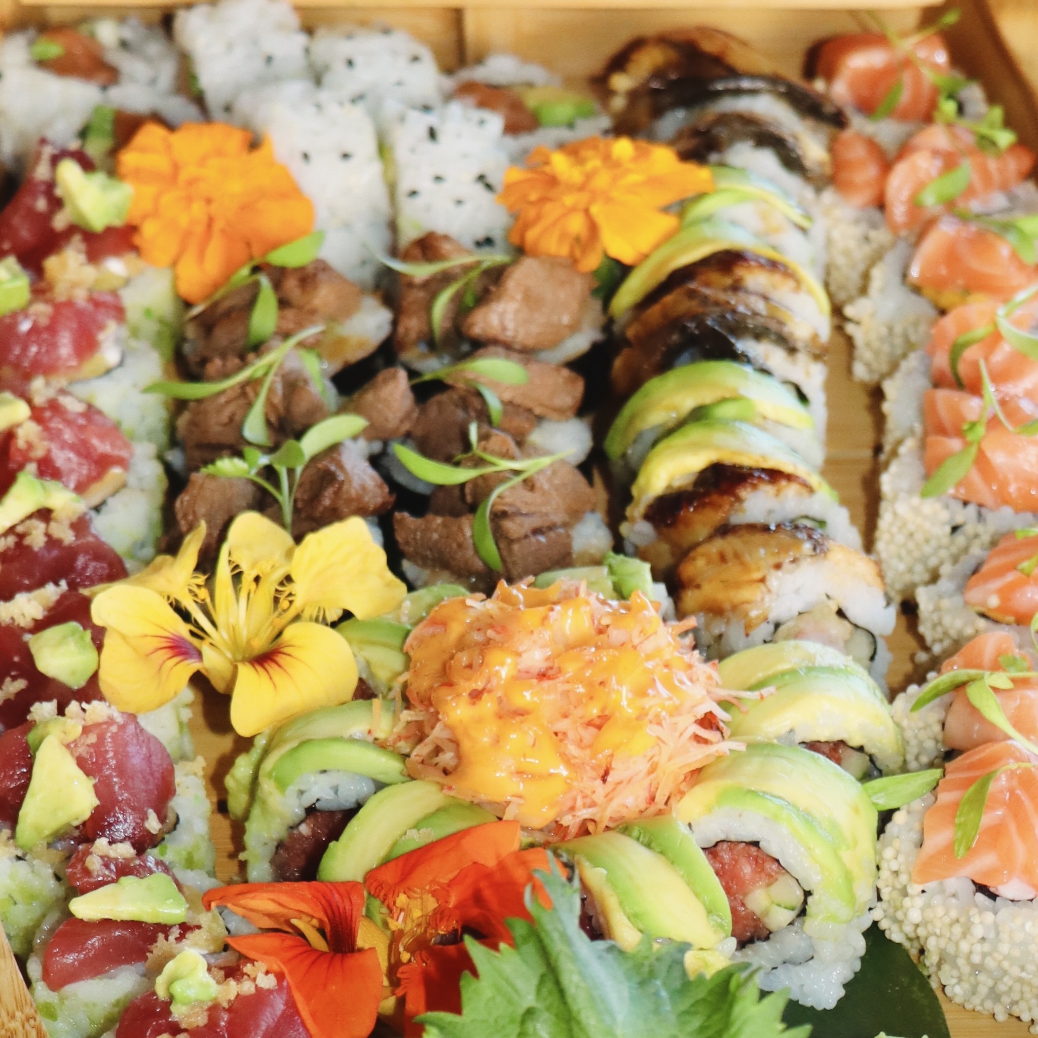 Sekushi on the Beach Clearwater Beach