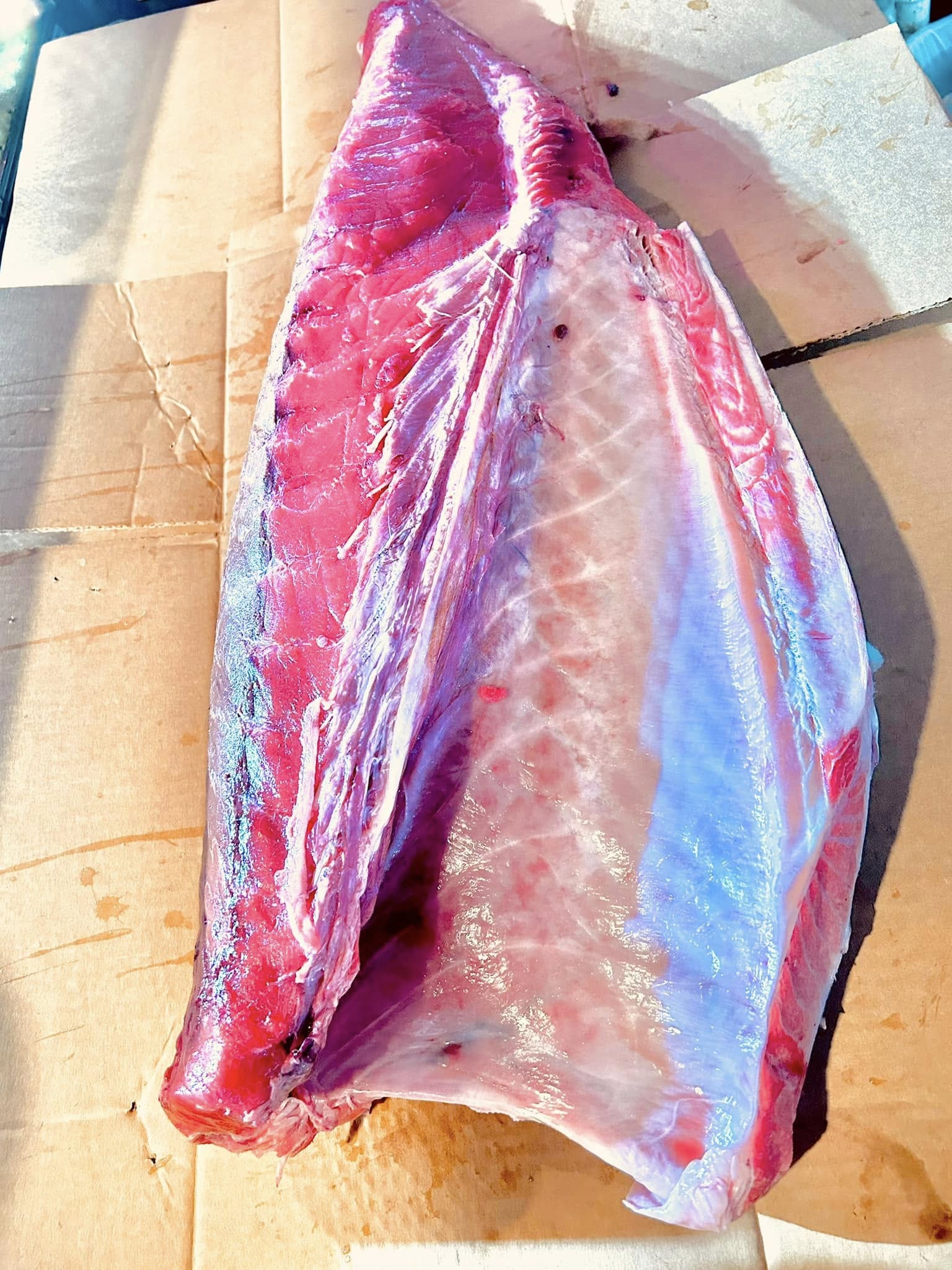 Hot Sake Sushi & Asian Clearwater Beach