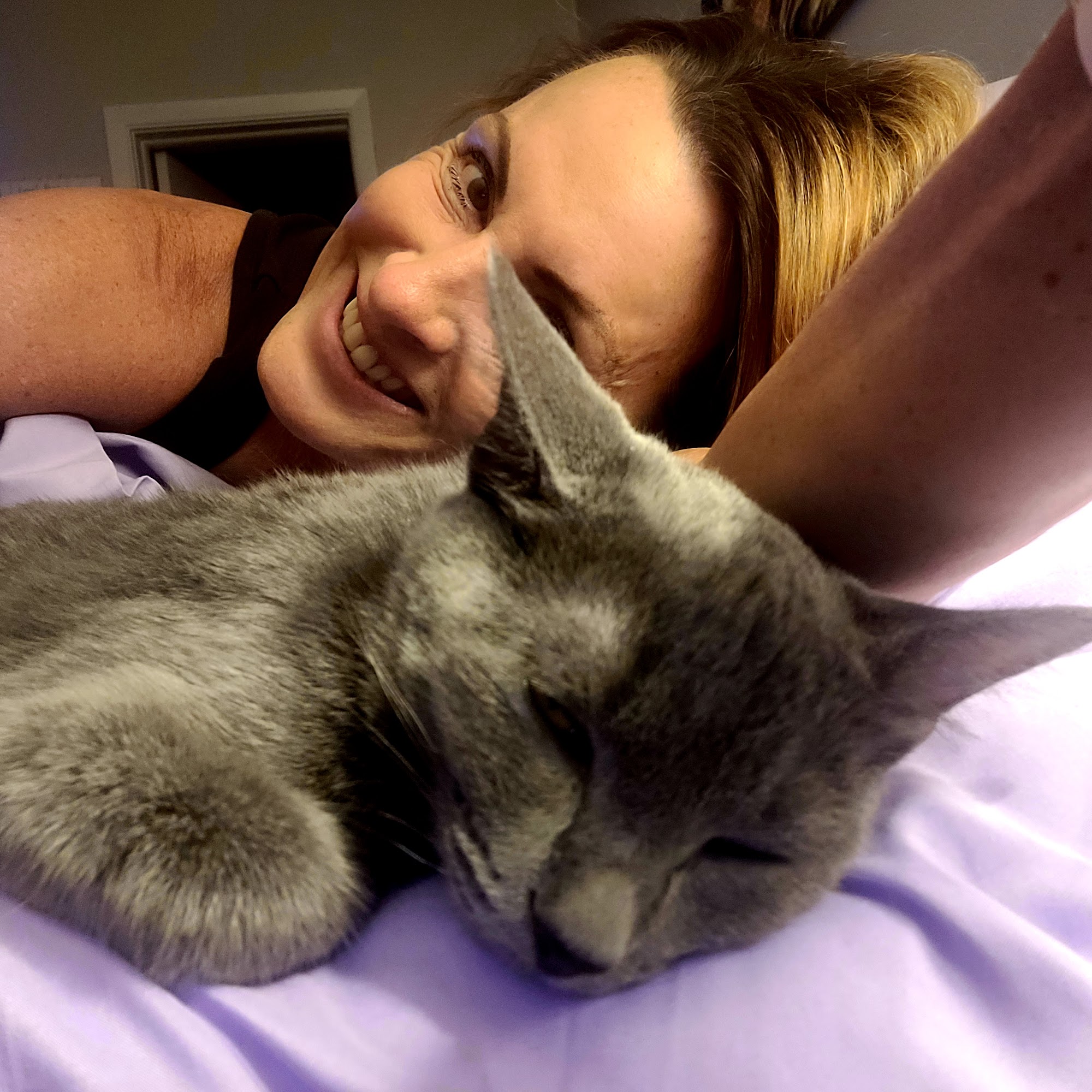 Veterinary Medical Hospital Of Clearwater Clearwater