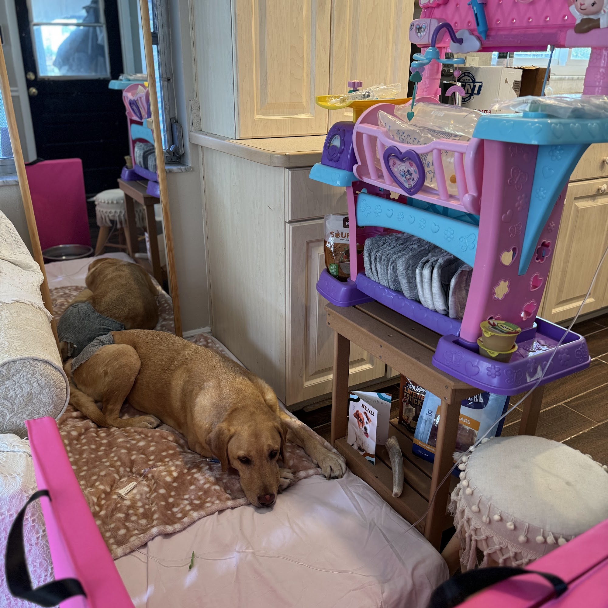 Sunset Point Animal Hospital Clearwater