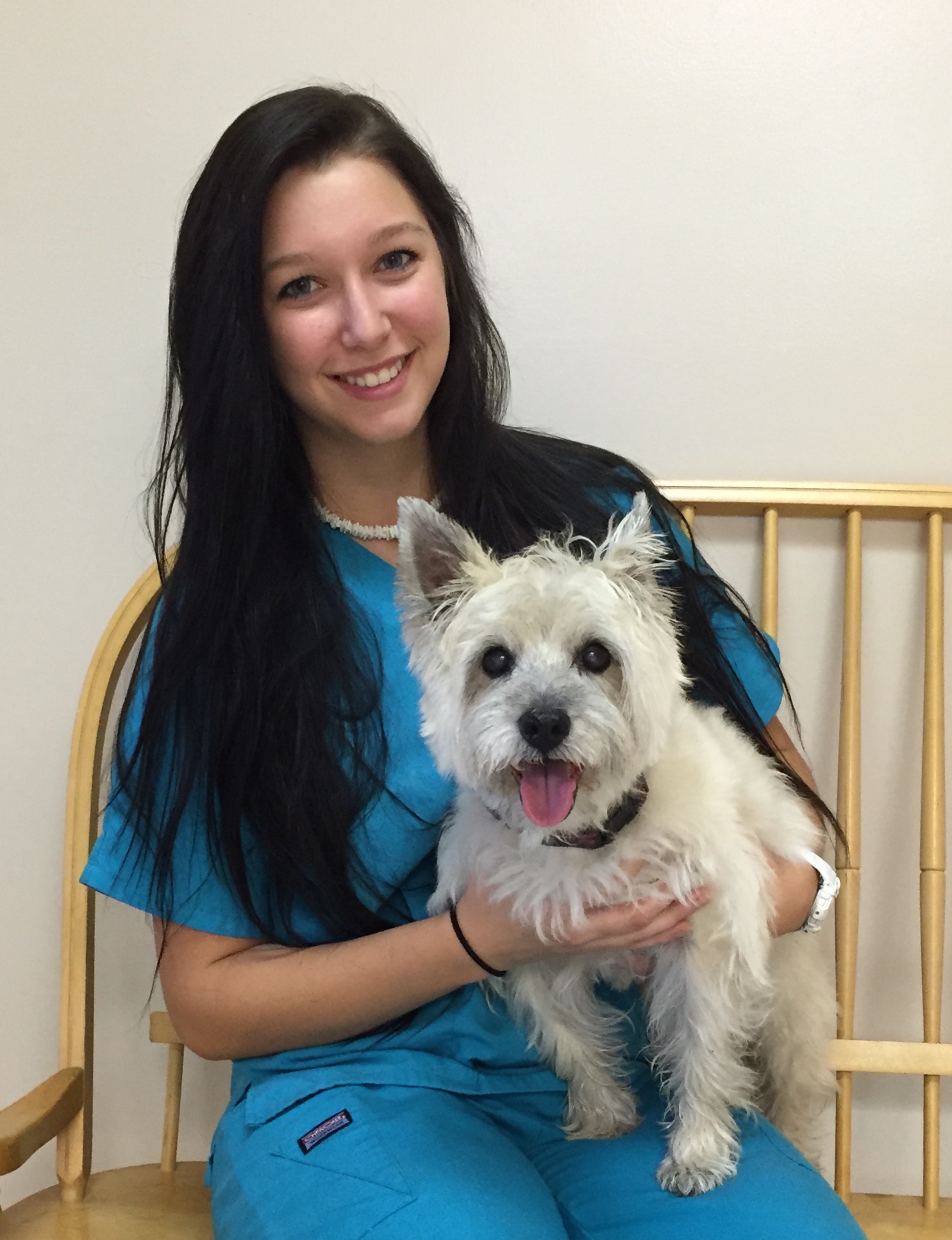 Court Street Animal Hospital Clearwater