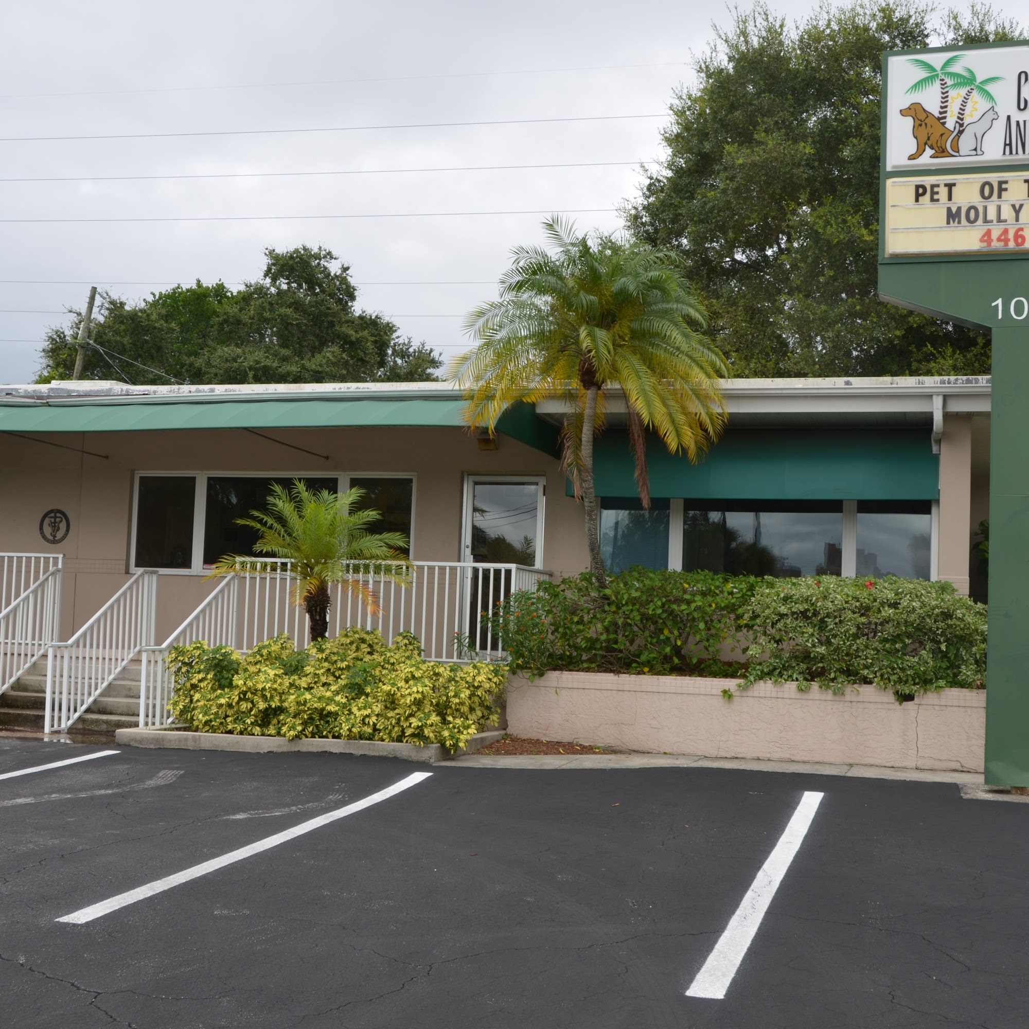 Court Street Animal Hospital Clearwater