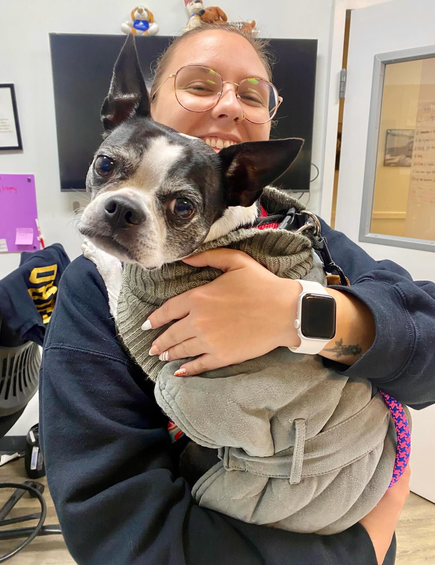 Specialists in Companion Animal Neurology (SCAN) - Clearwater Clearwater