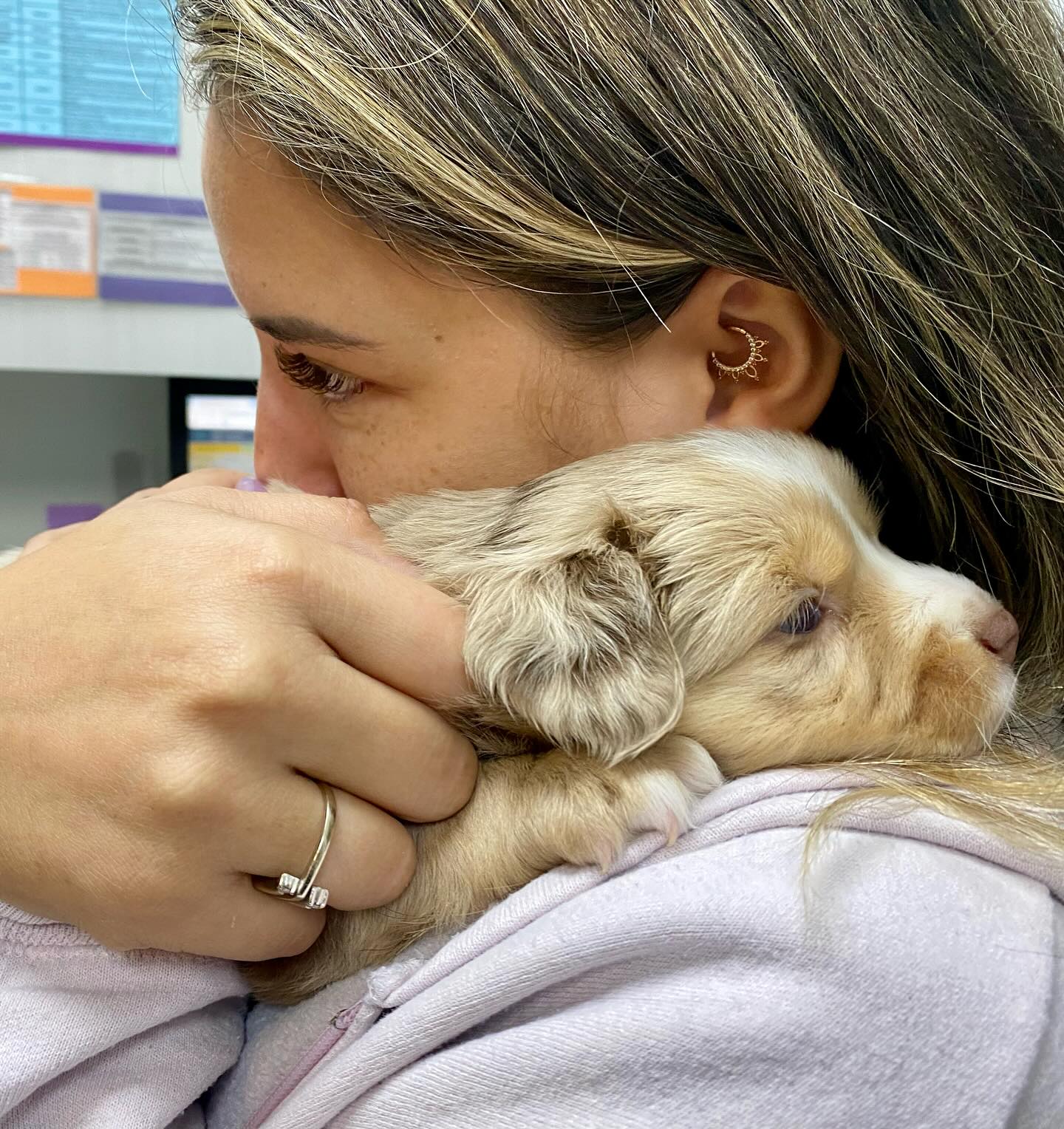 Specialists in Companion Animal Neurology (SCAN) - Clearwater Clearwater