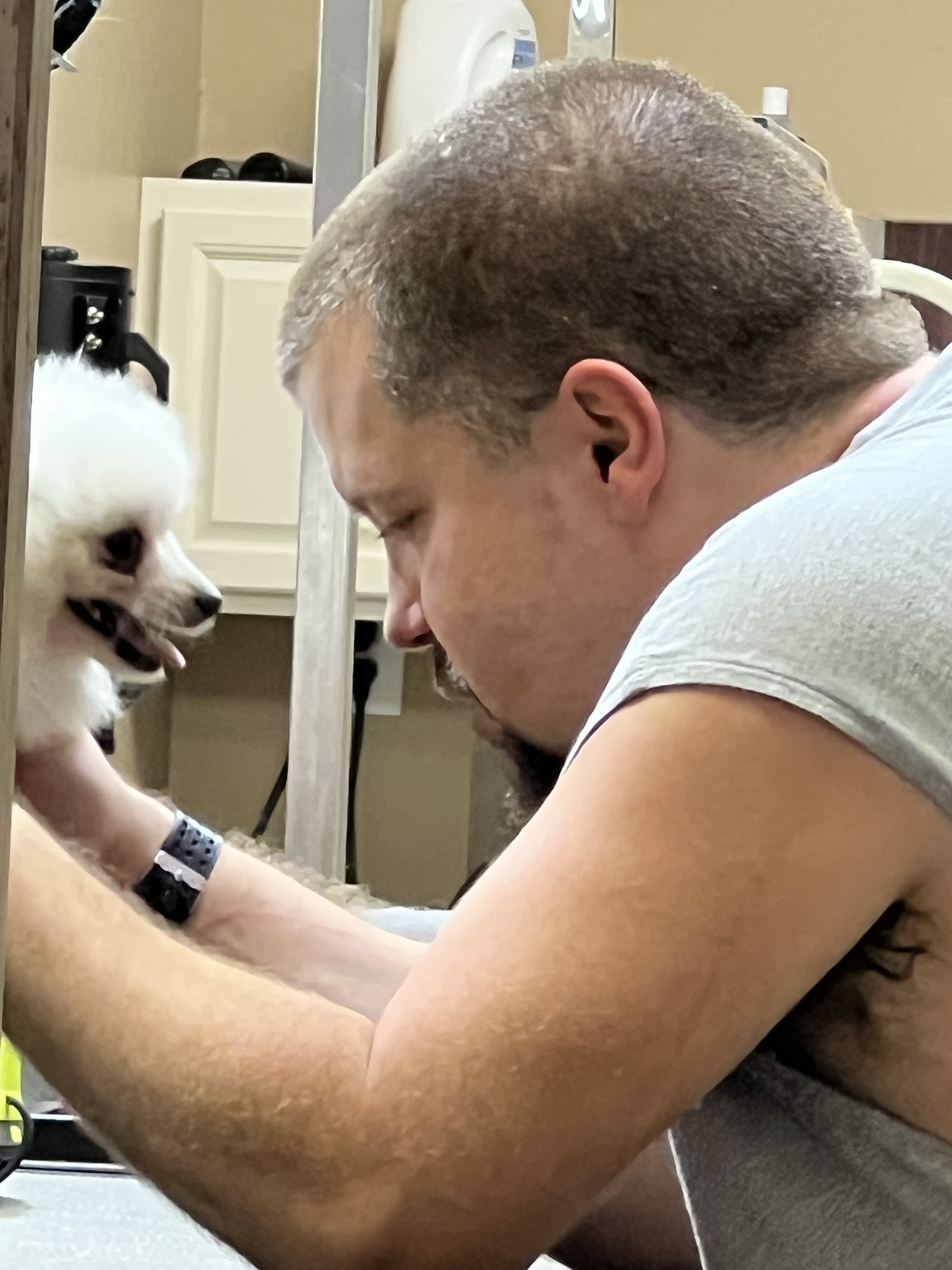 The Grooming Shop Clearwater