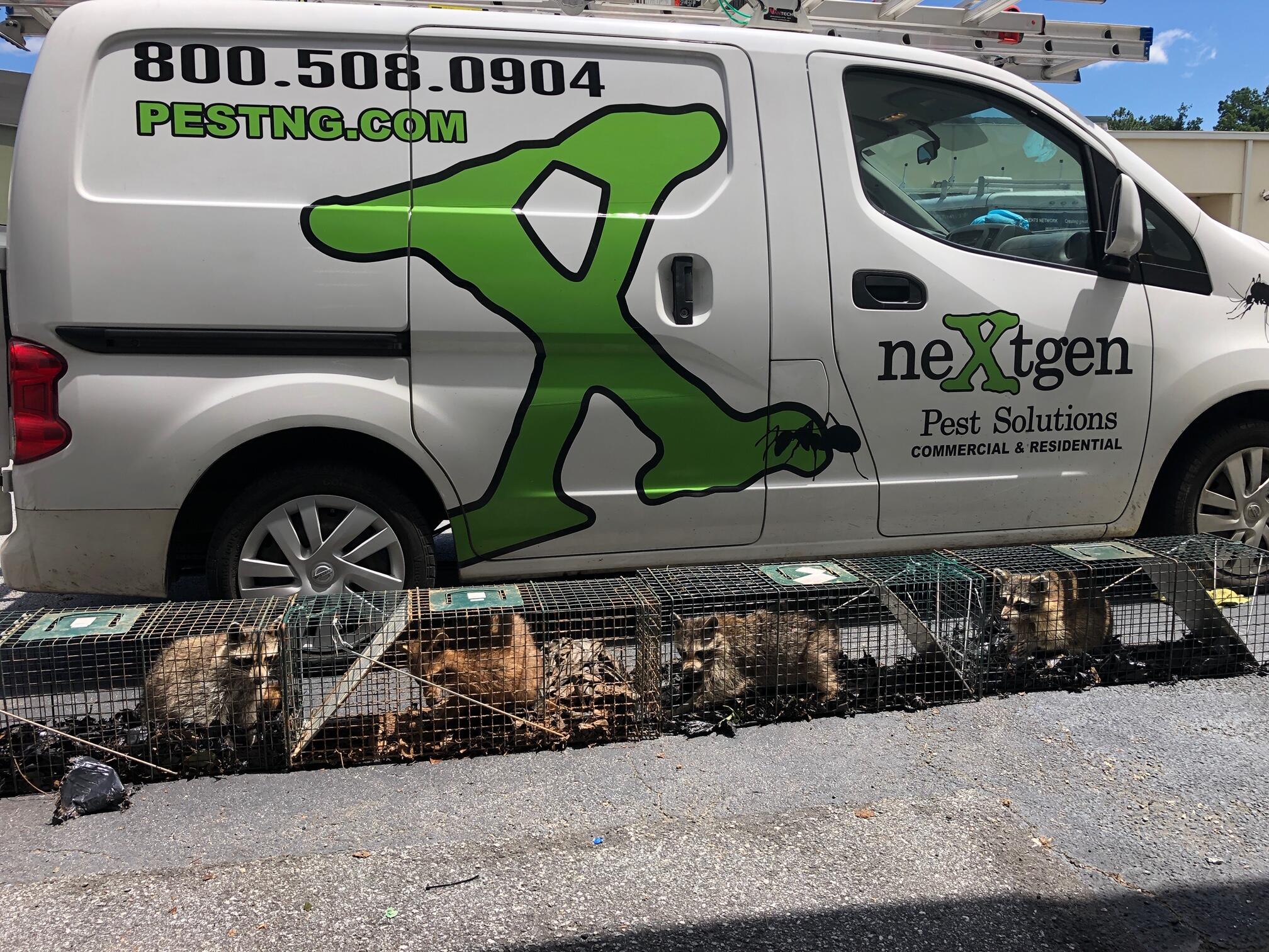 Photo credit: nextdoor