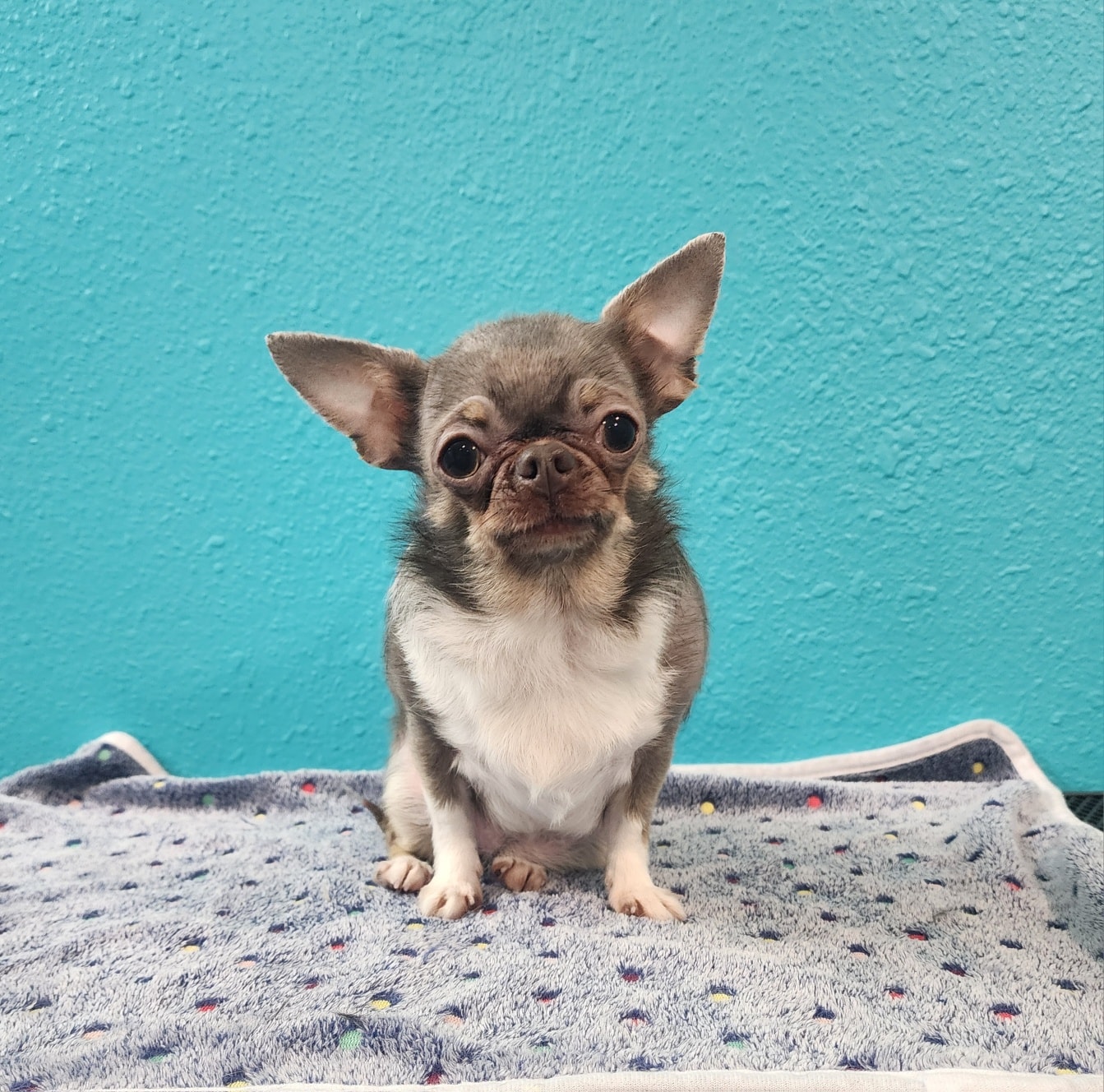 Southpaw Spa Clearwater