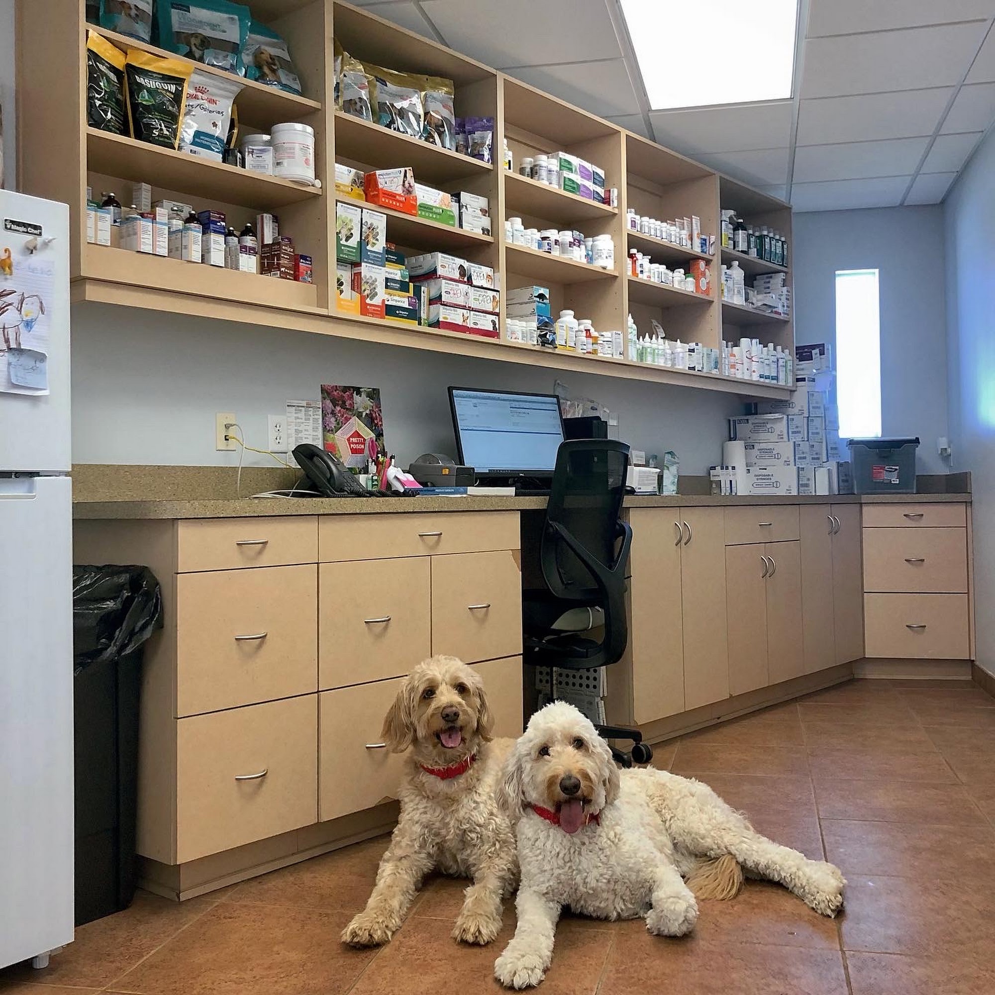 Furry Friends Veterinary Center Clearwater