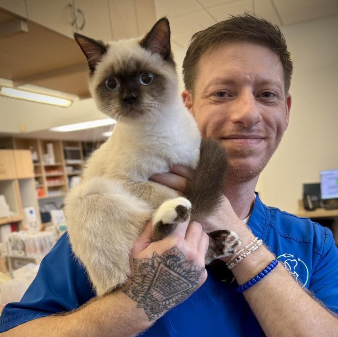 Furry Friends Veterinary Center Clearwater