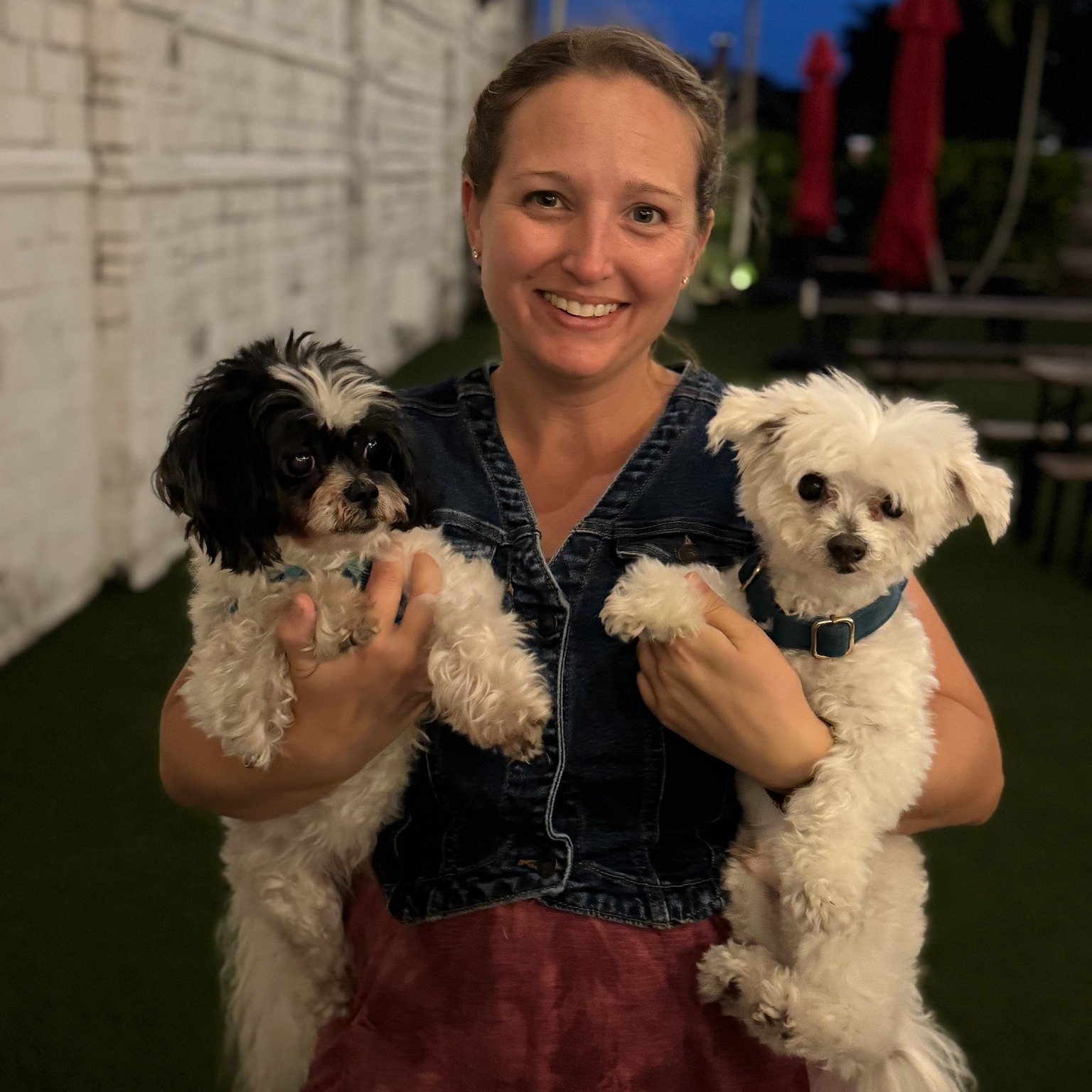 Animal & Bird Hospital of Clearwater Clearwater