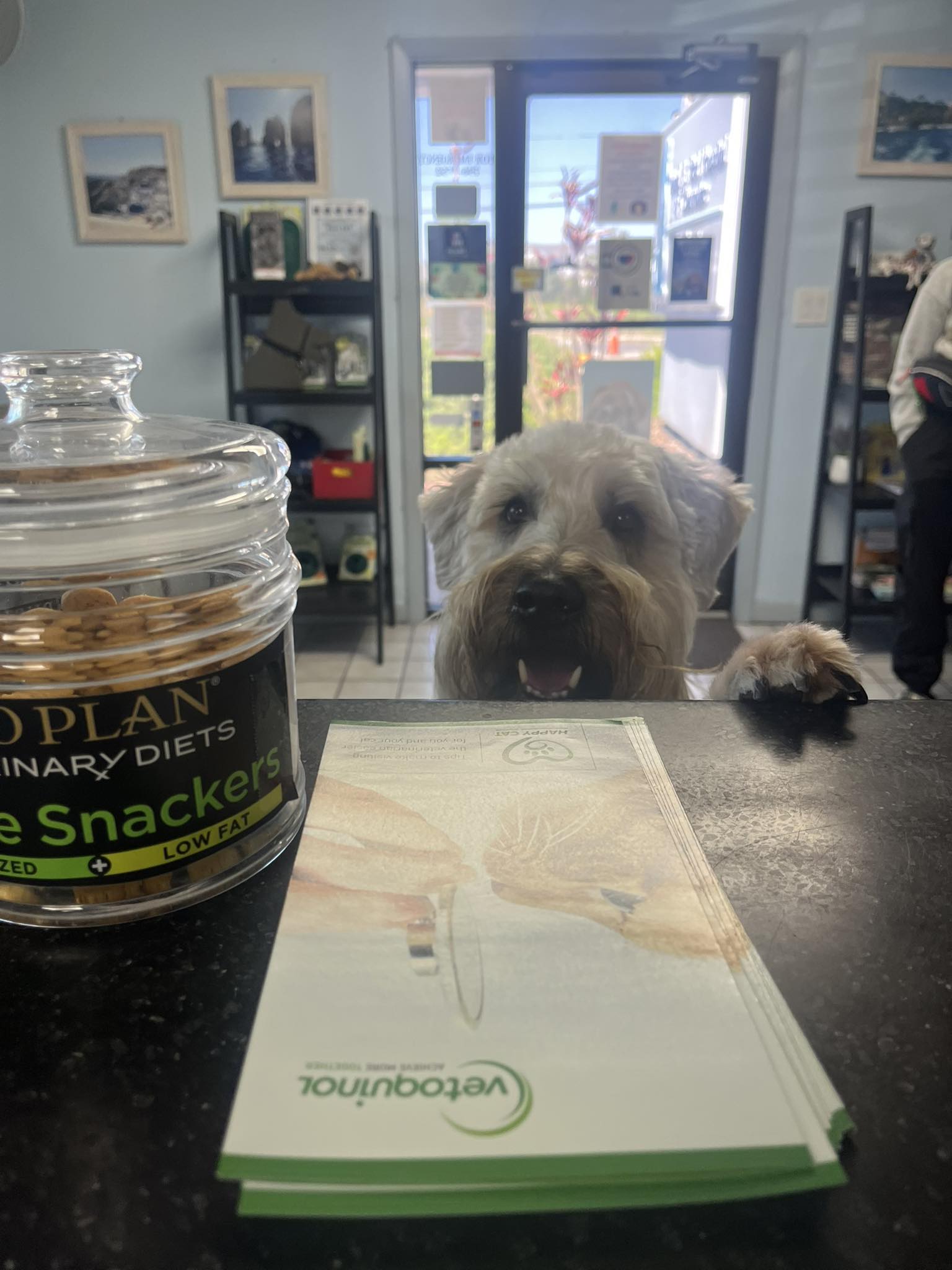 Animal & Bird Hospital of Clearwater Clearwater