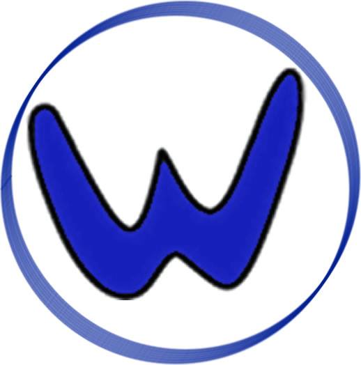 The Wilder Group CPA