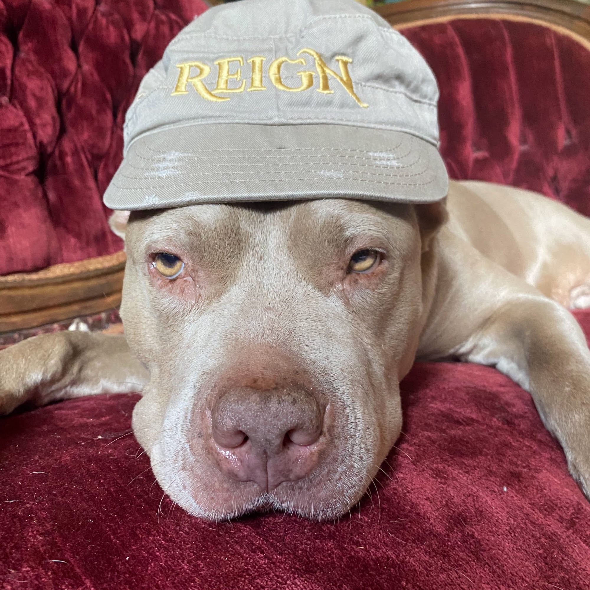 Reign Ladies' and Gentlemen's Club Clearwater