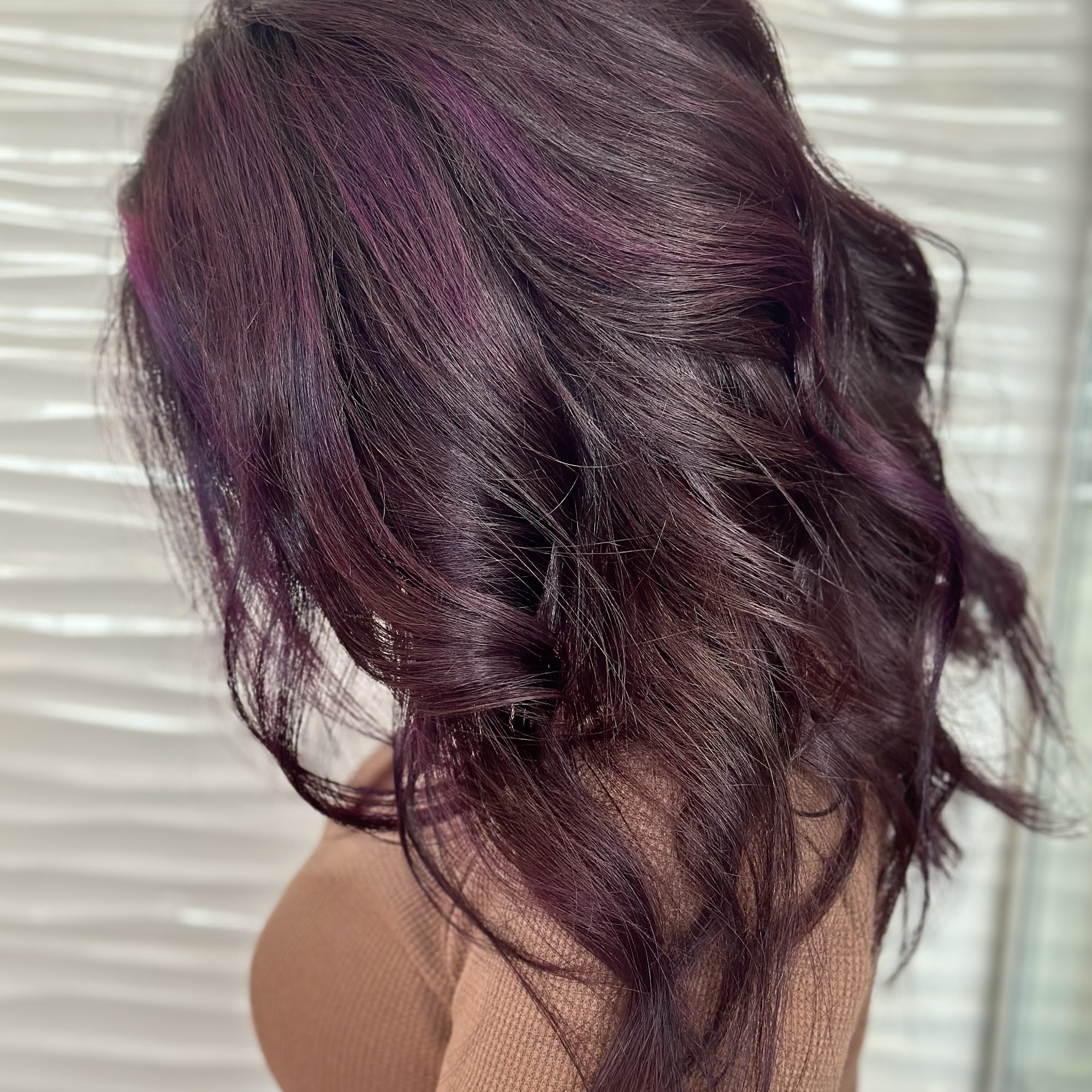 Hair by Dani.T 5160 E Bay Dr, Clearwater Florida 33764