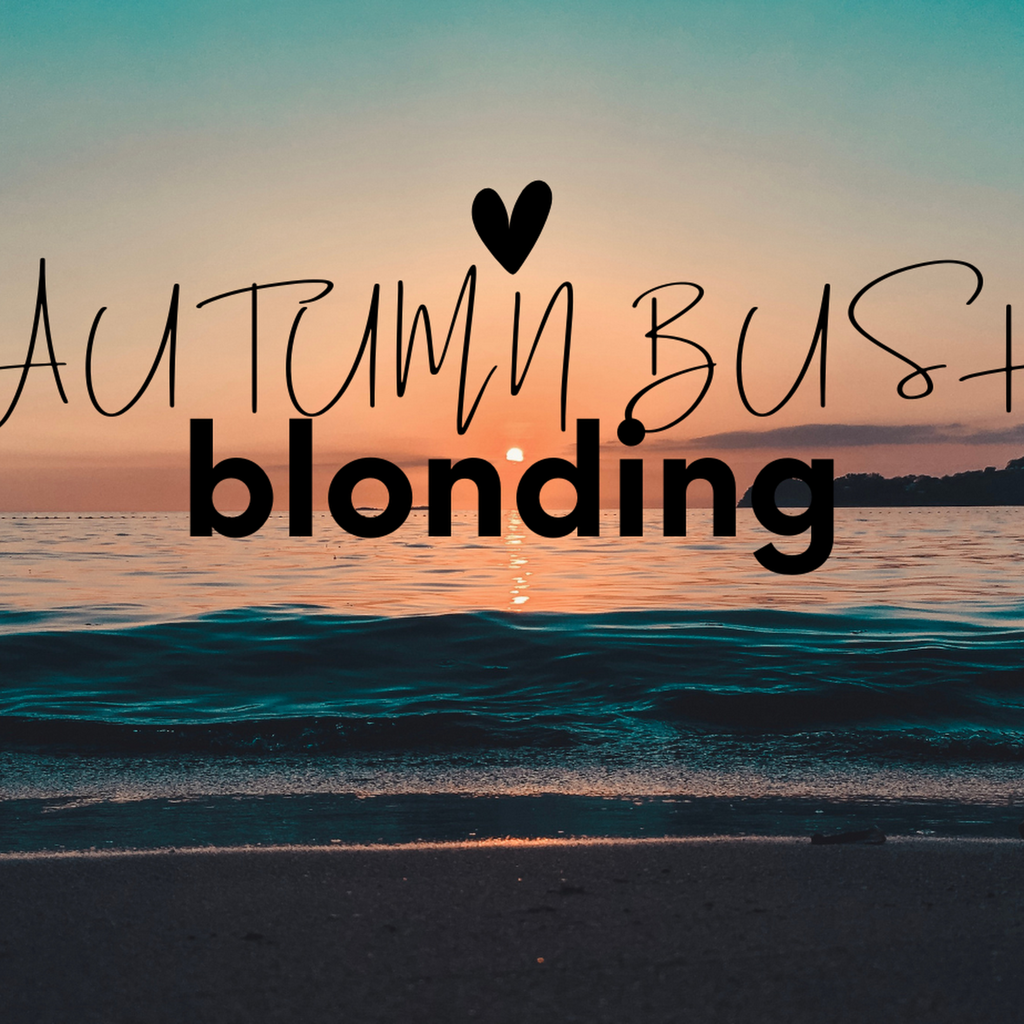 Autumn Bush Blonding 25973 US Hwy 19 N Suite #101, Clearwater Florida 33763