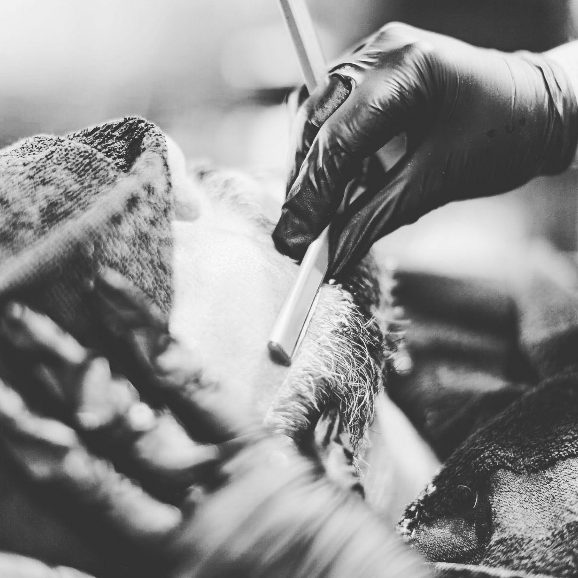 Hair Mechanix 2659 Roosevelt Blvd suite 105, Clearwater Florida 33760