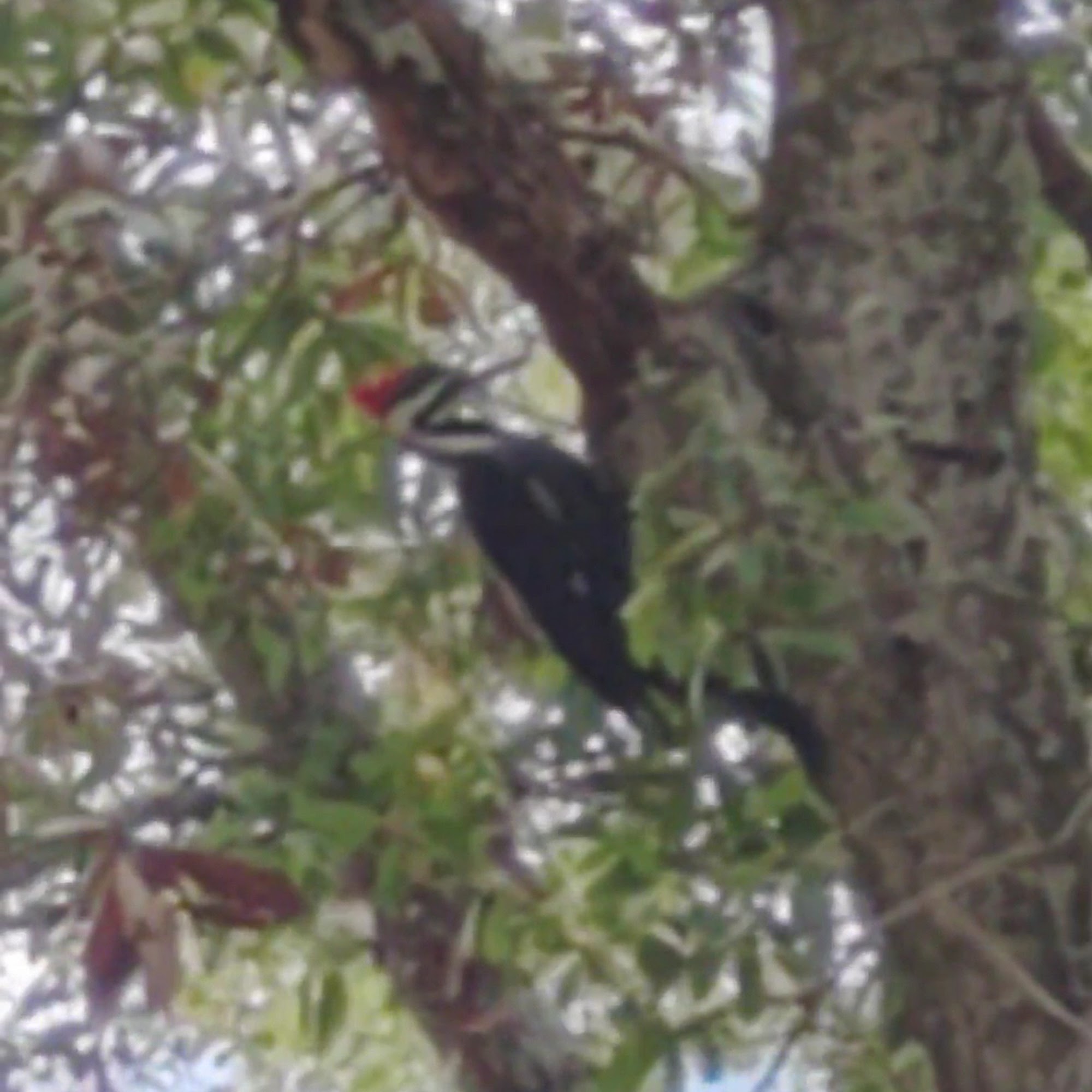 Empath Health Mid-County Community Service Center Clearwater