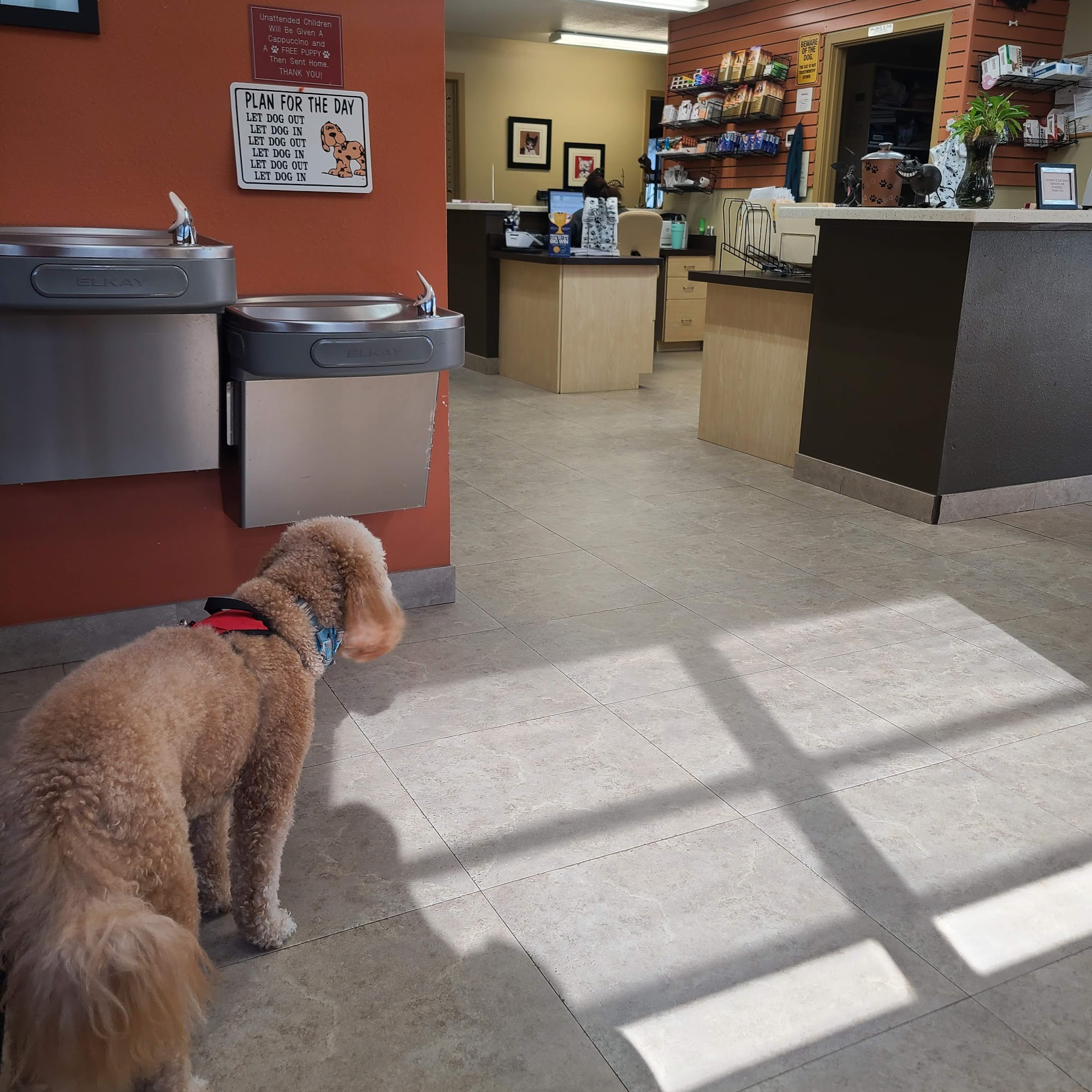South Lake Animal Hospital Clermont