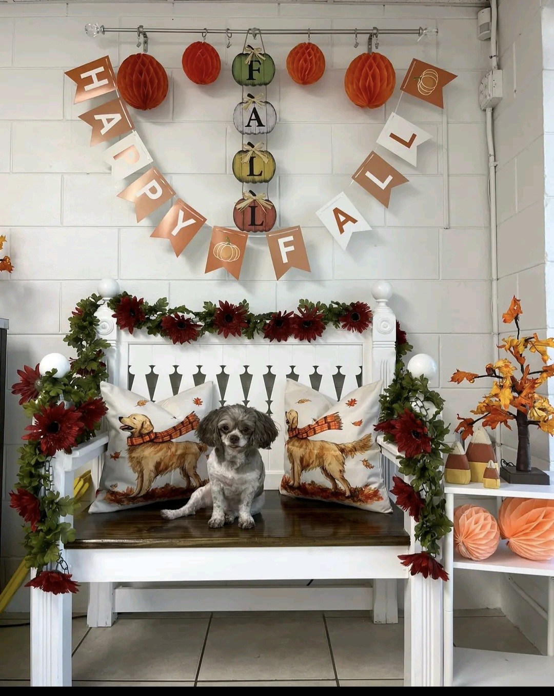 U Dirty Dog Clermont