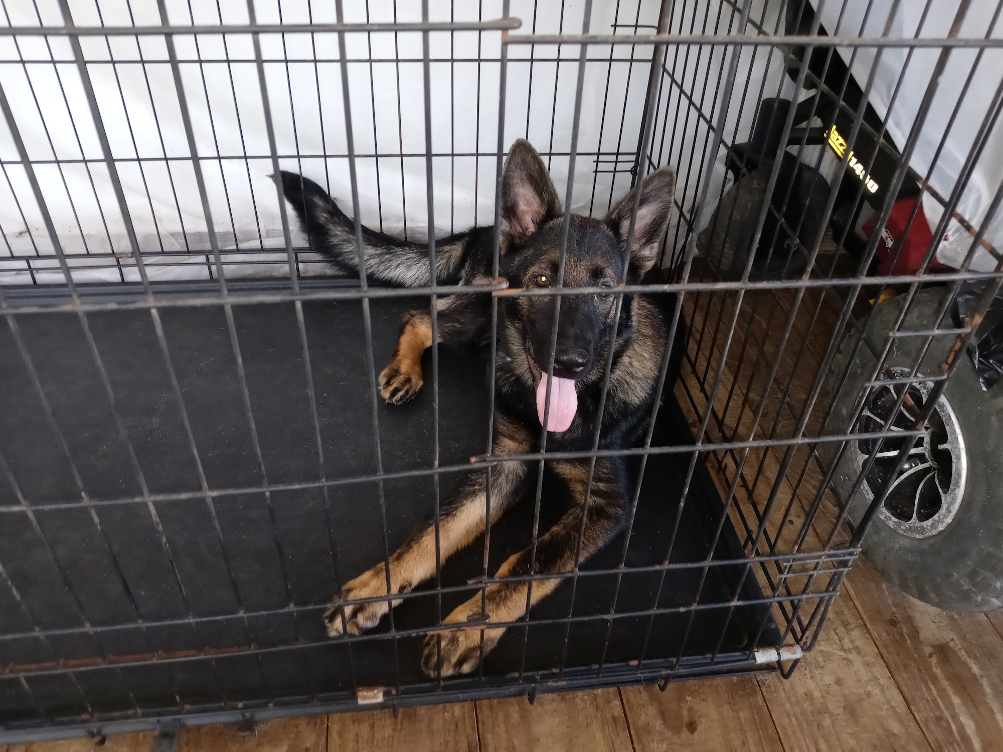 All For The Critters, Inc Clewiston