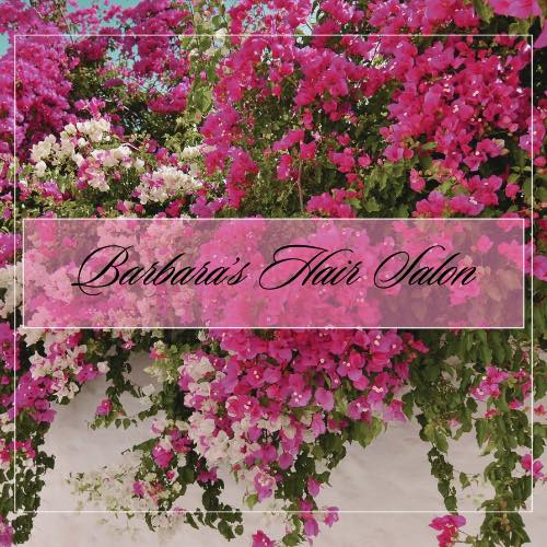 Barbara’s Hair Salon 107 Bond St, Clewiston Florida 33440