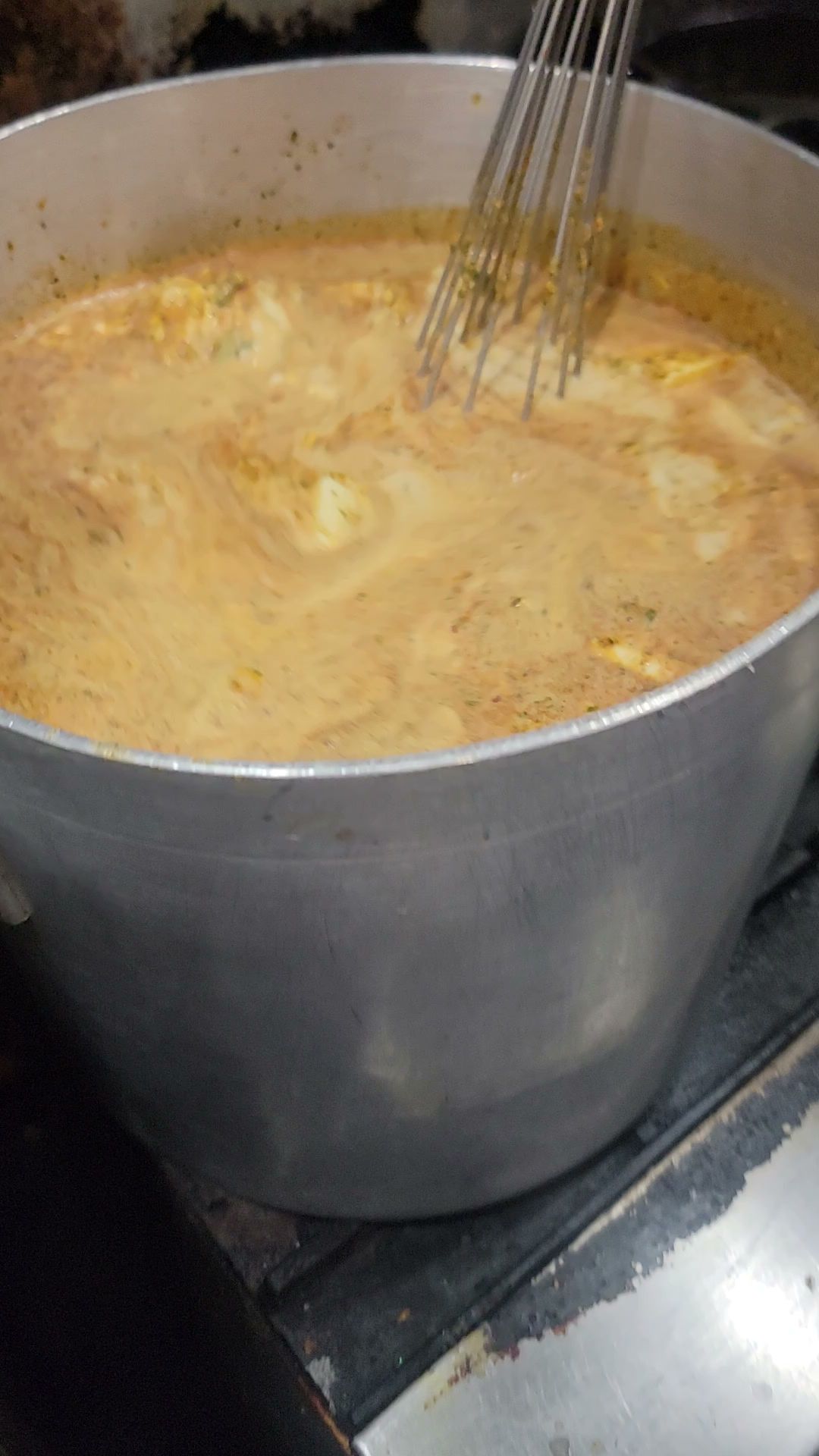 The Tiny Turtle Cocoa Beach