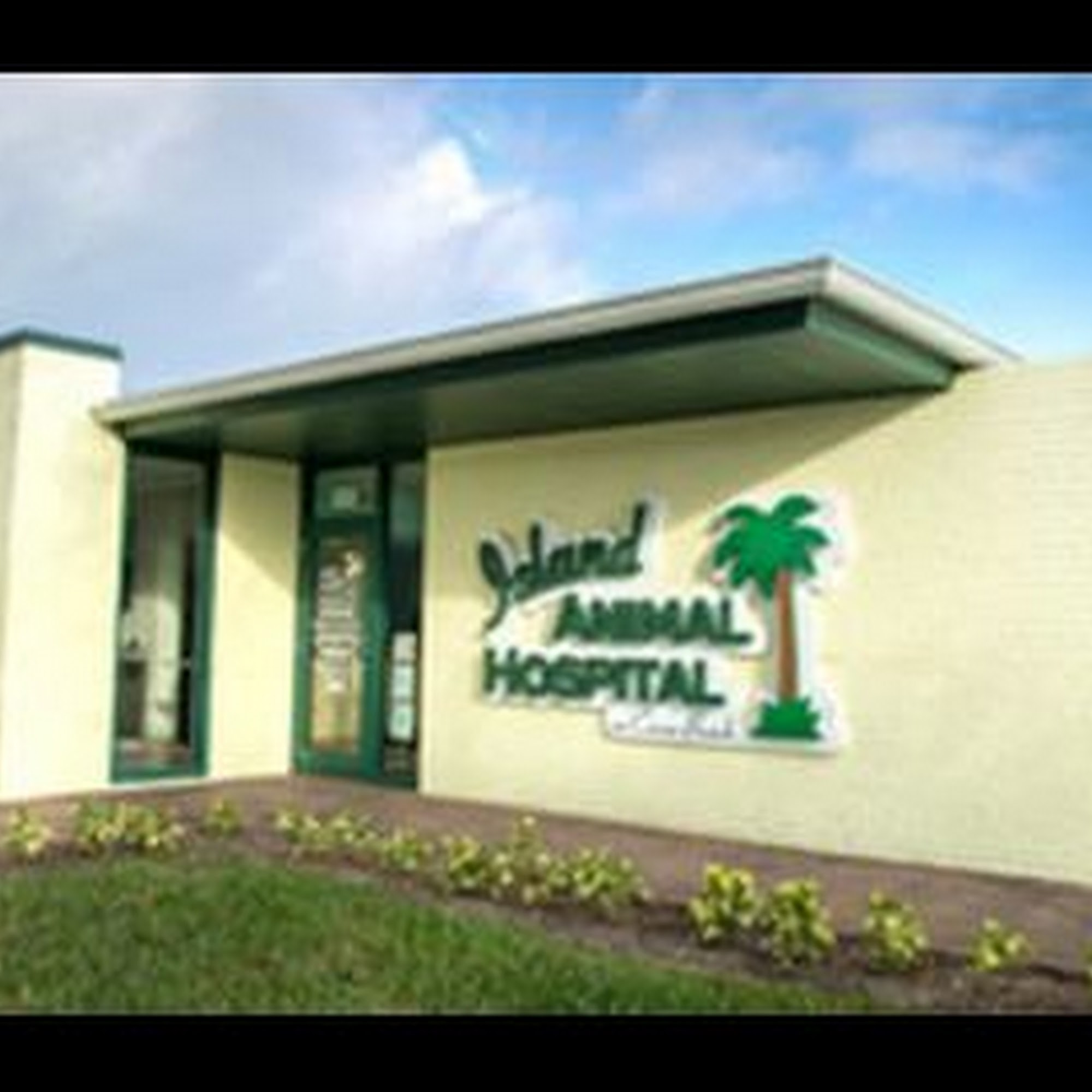 Island Animal Hospital on Cocoa Beach Cocoa Beach