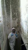 Knowledge Pest Management Inc
