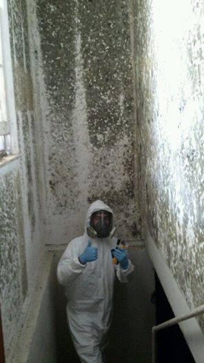 Knowledge Pest Management Inc