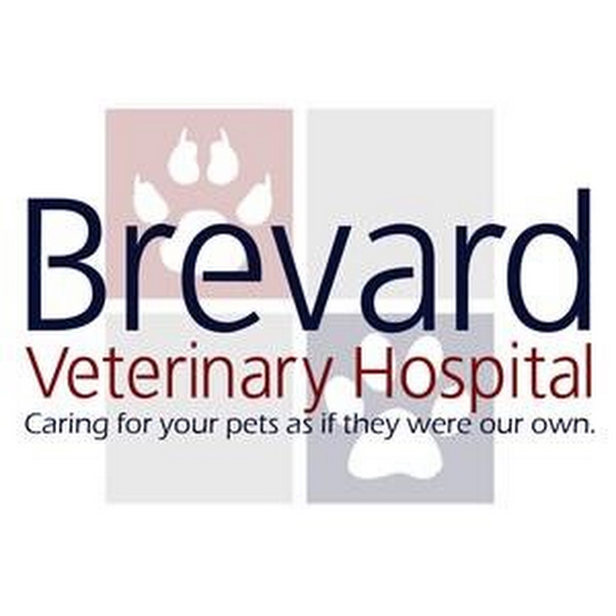Brevard Veterinary Hospital Cocoa