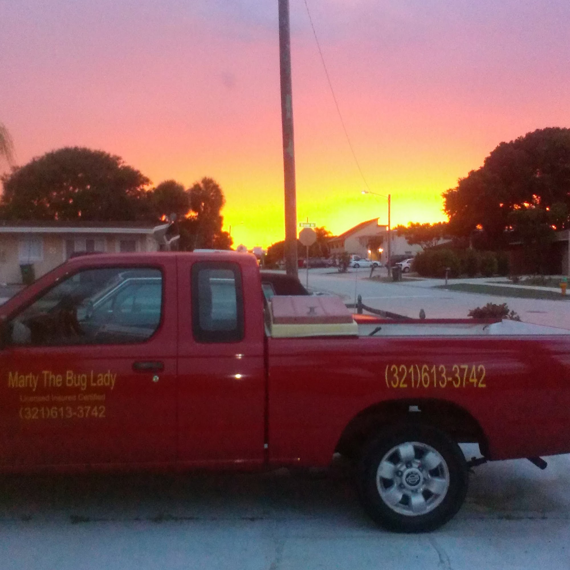 Marty the Bug Lady