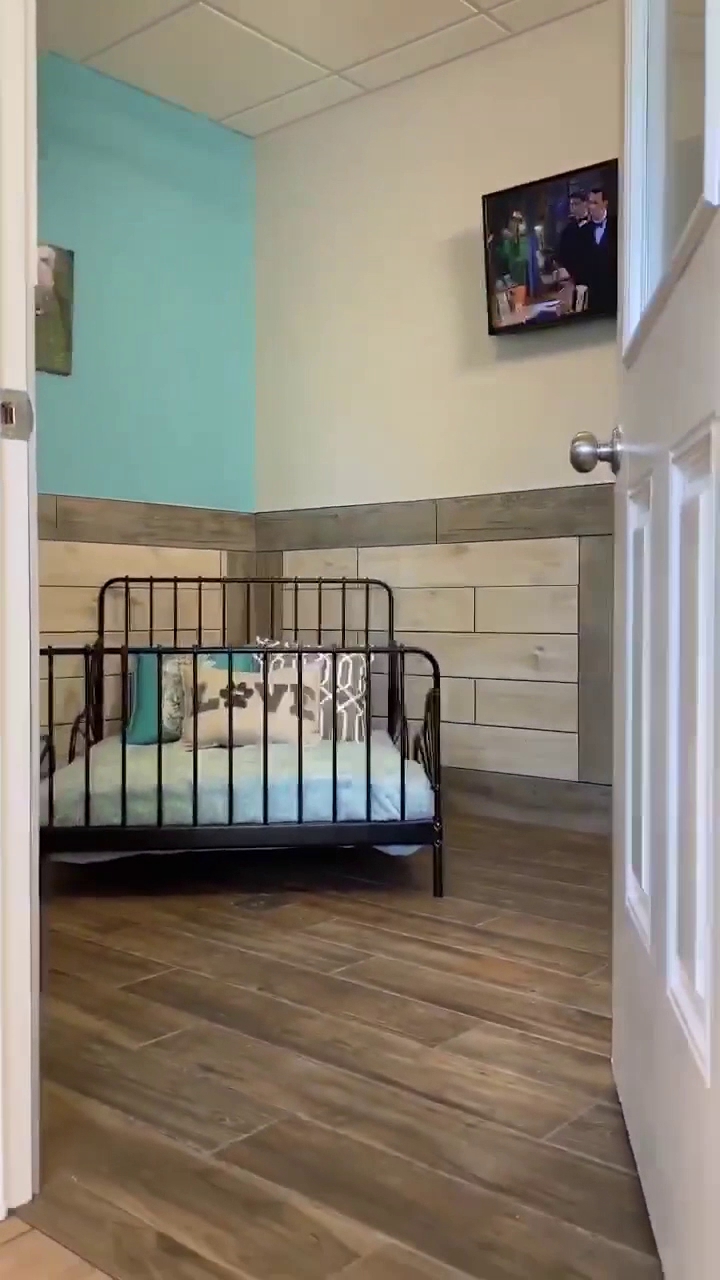 Pet Paradise Coconut Creek Coconut Creek