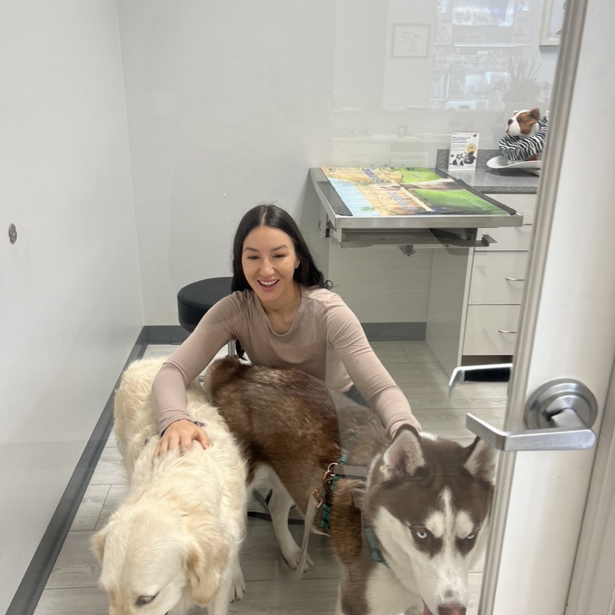 Cooper City Animal Clinic Cooper City