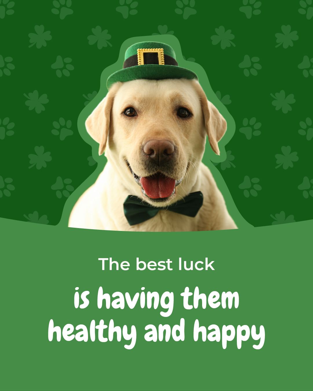 Huggies Pet Grooming Cooper City