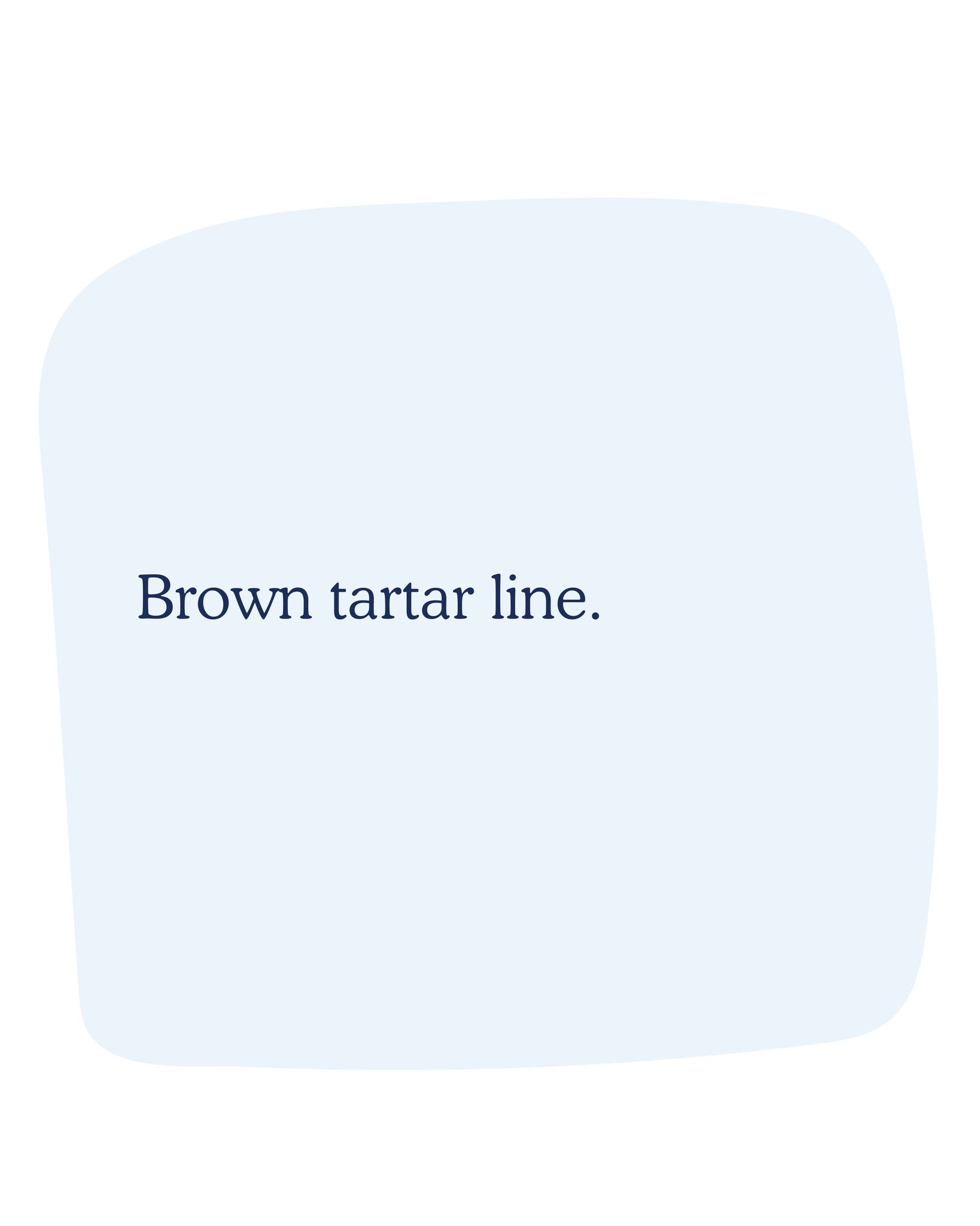 Scenthound Coral Gables