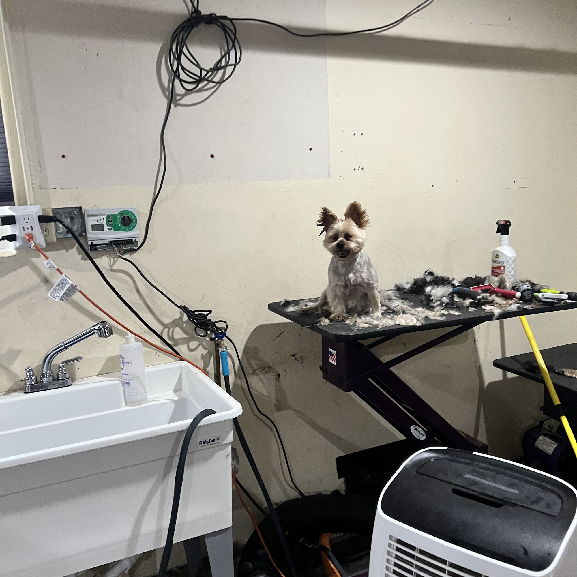 Furbabies Spa Coral Springs