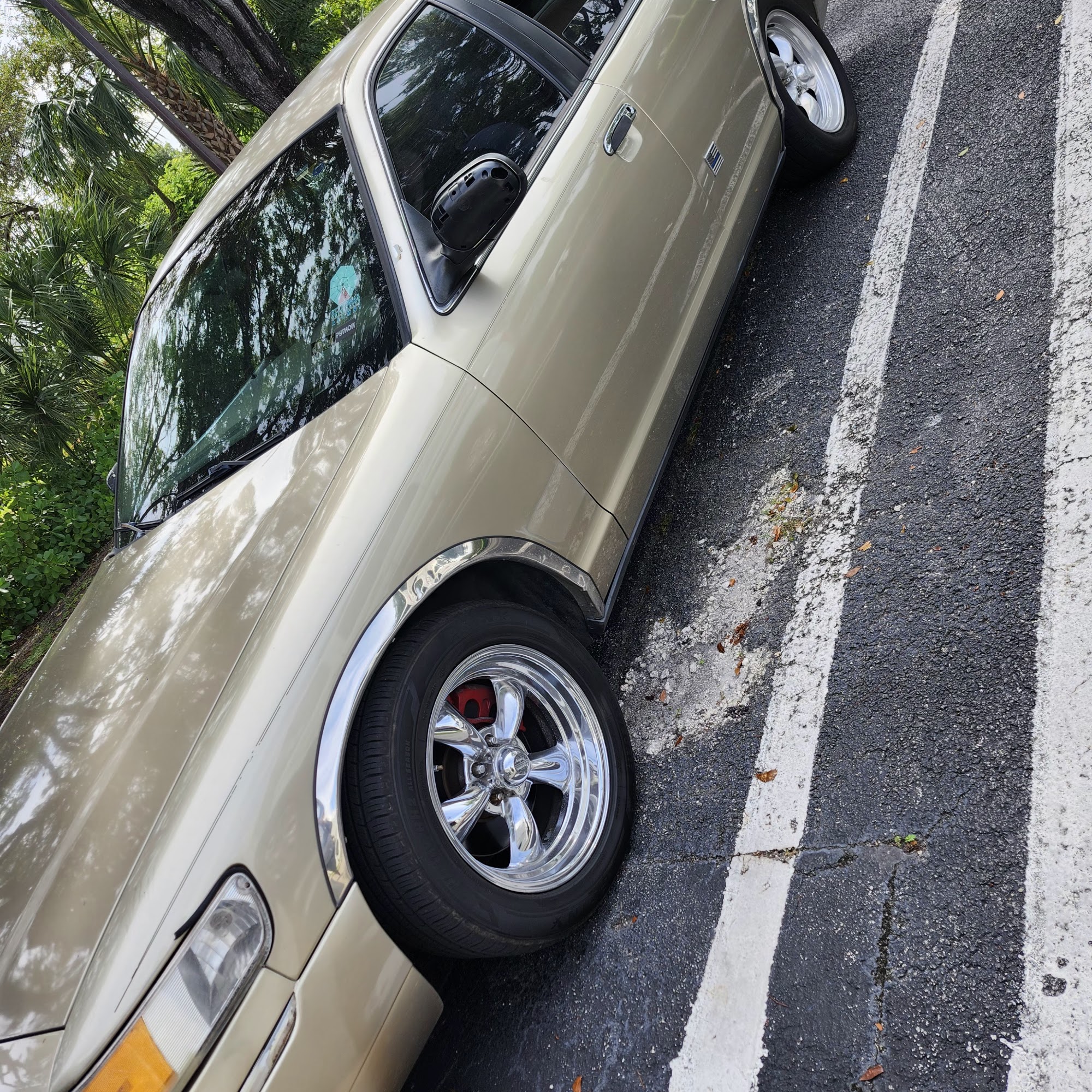 webuyanycar.com Coral Springs