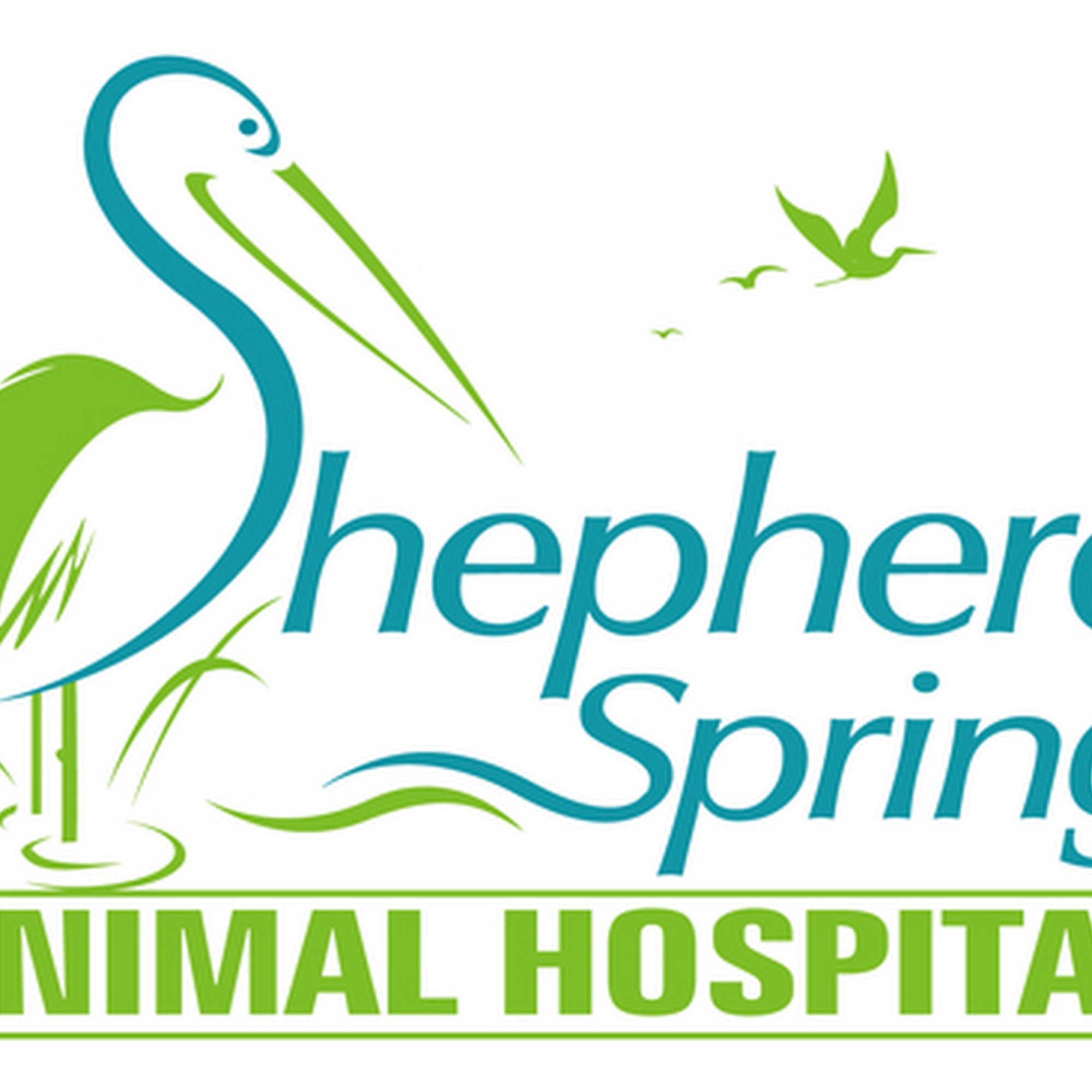 Shepherd Spring Animal Hospital Crawfordville