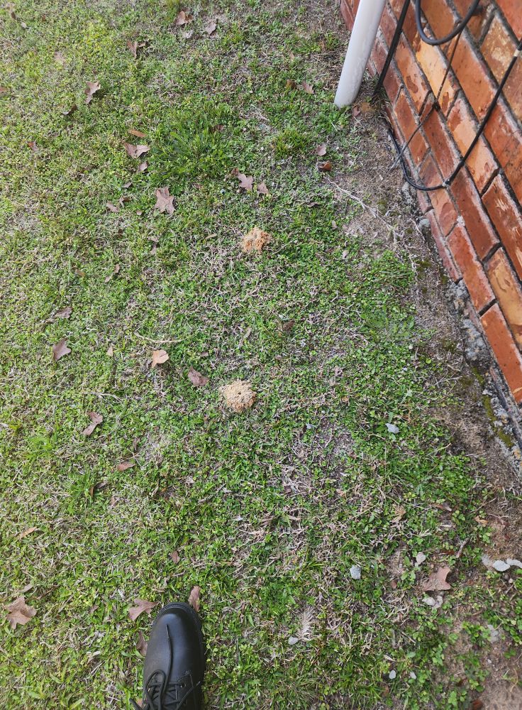 Emerald Coast Pest Control Inc